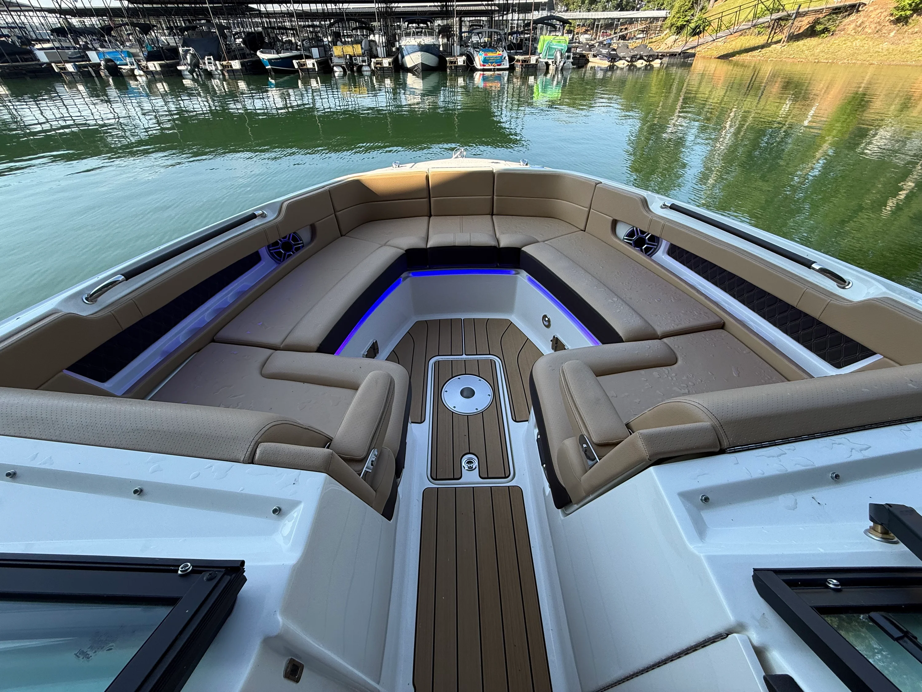 2026 Sea Ray SLX 310 Image Thumbnail #13