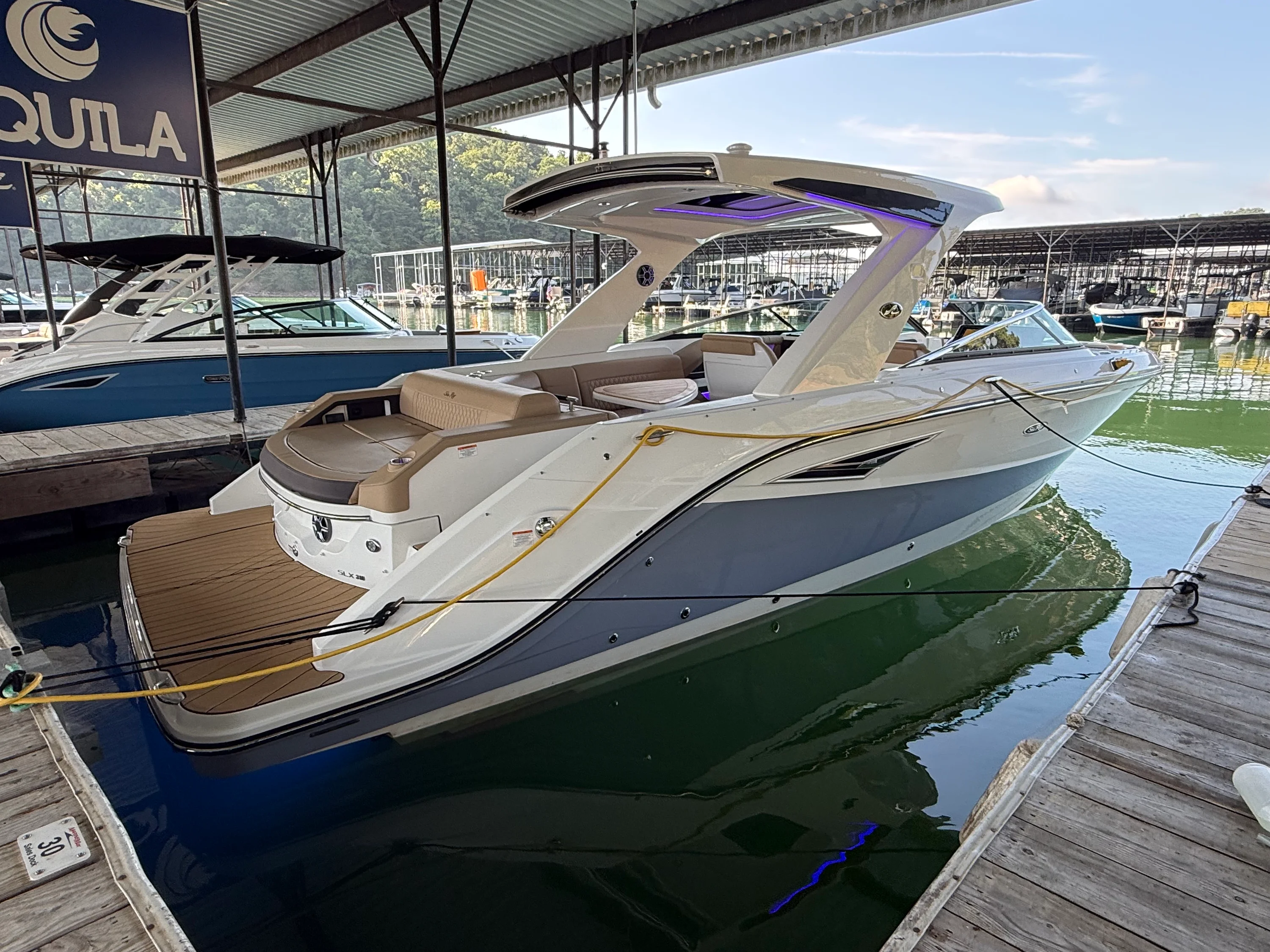 2026 Sea Ray SLX 310 Image Thumbnail #1