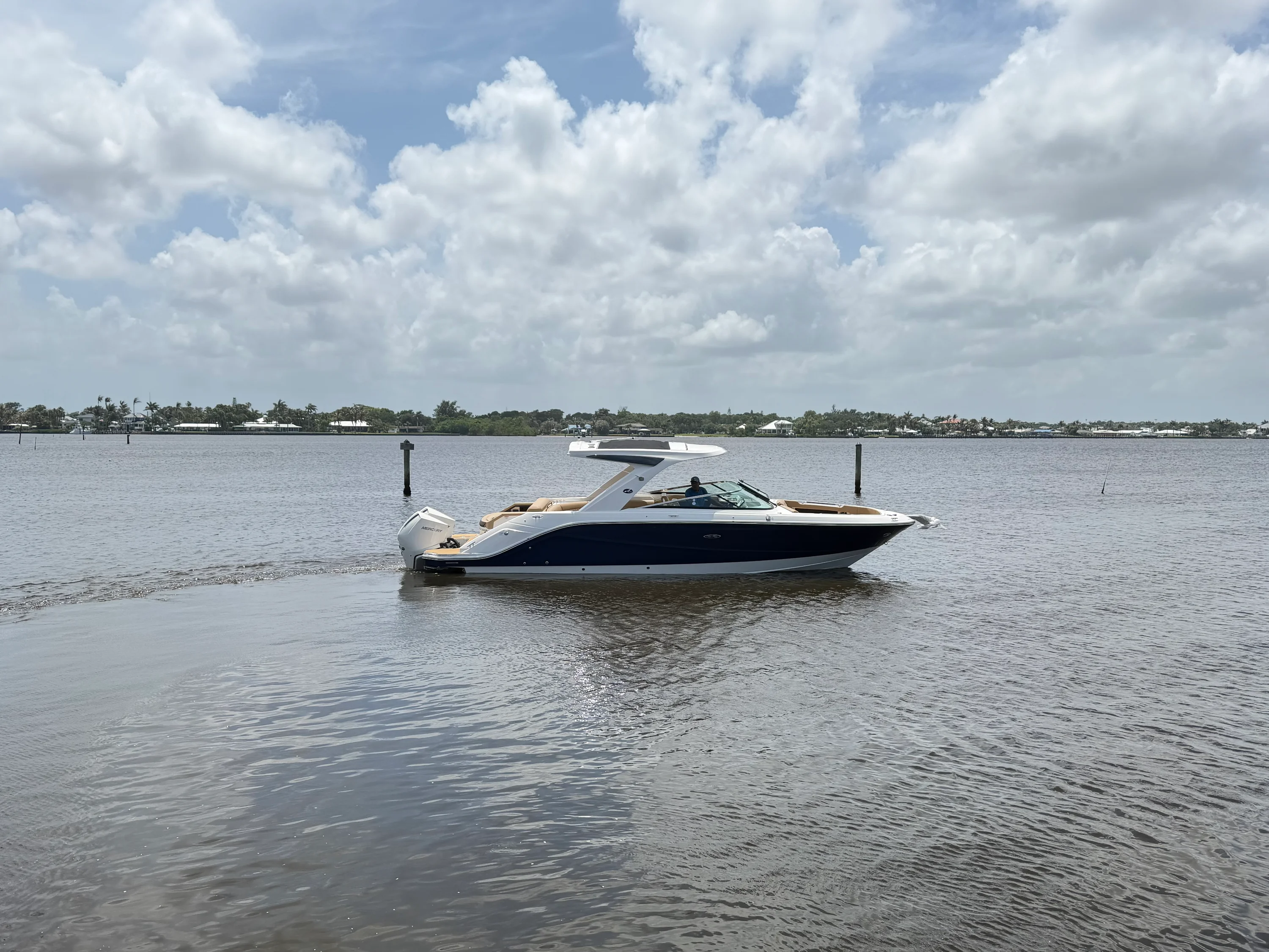 2026 Sea Ray SLX 310 Outboard Image Thumbnail #7