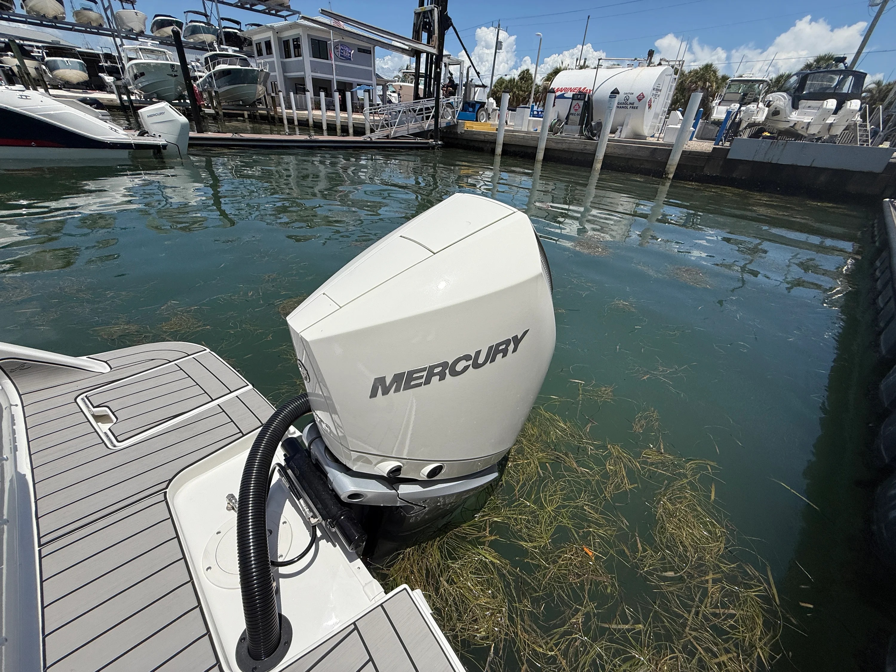 2026 Sea Ray SDX 270 Outboard Image Thumbnail #27