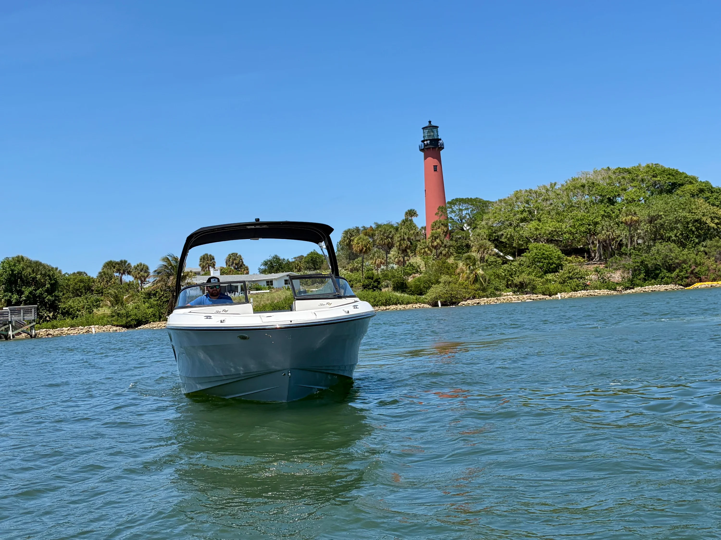 2026 Sea Ray SPX 210 Outboard Image Thumbnail #8