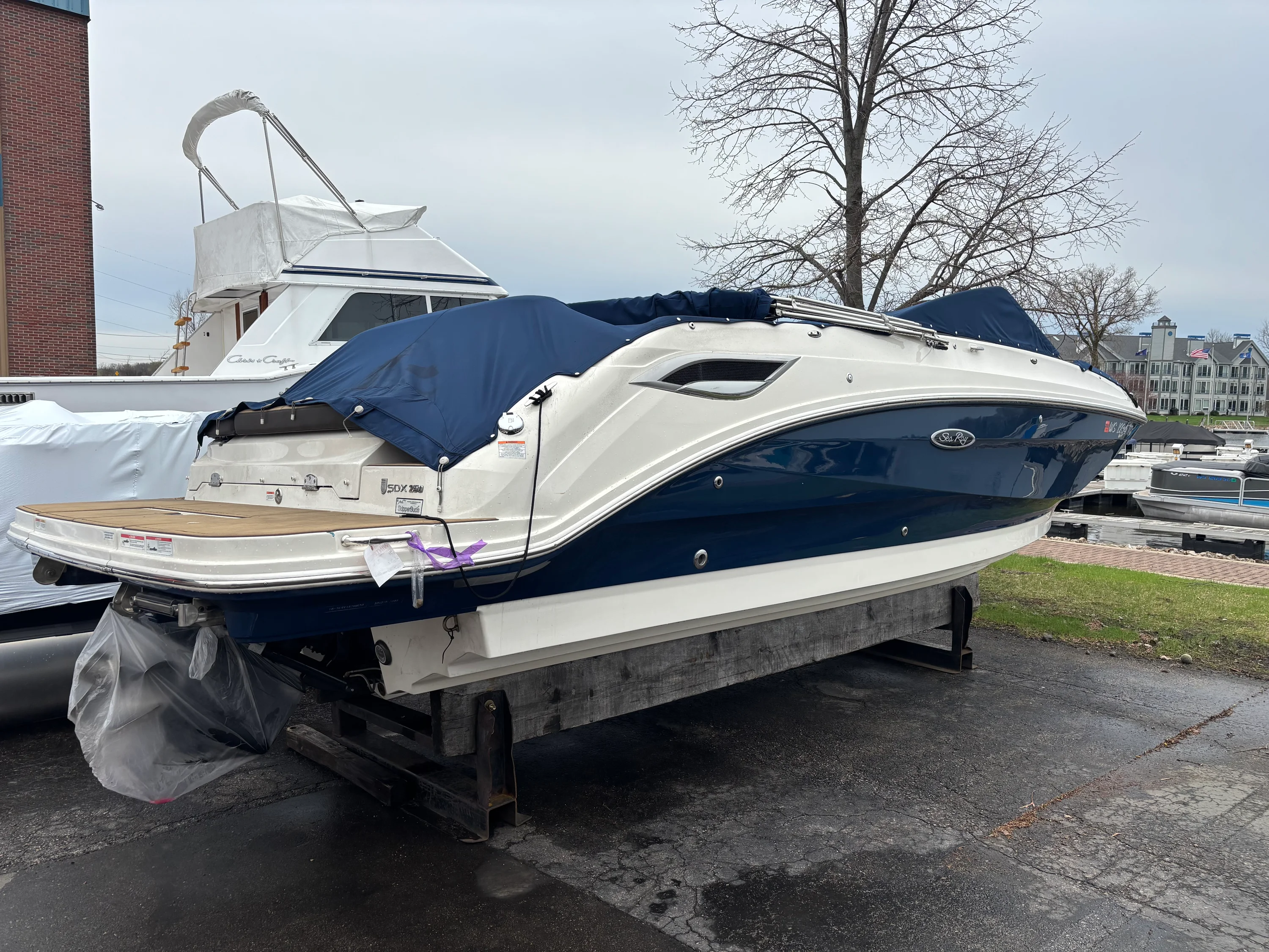 2020 Sea Ray 250 SDX Image Thumbnail #2