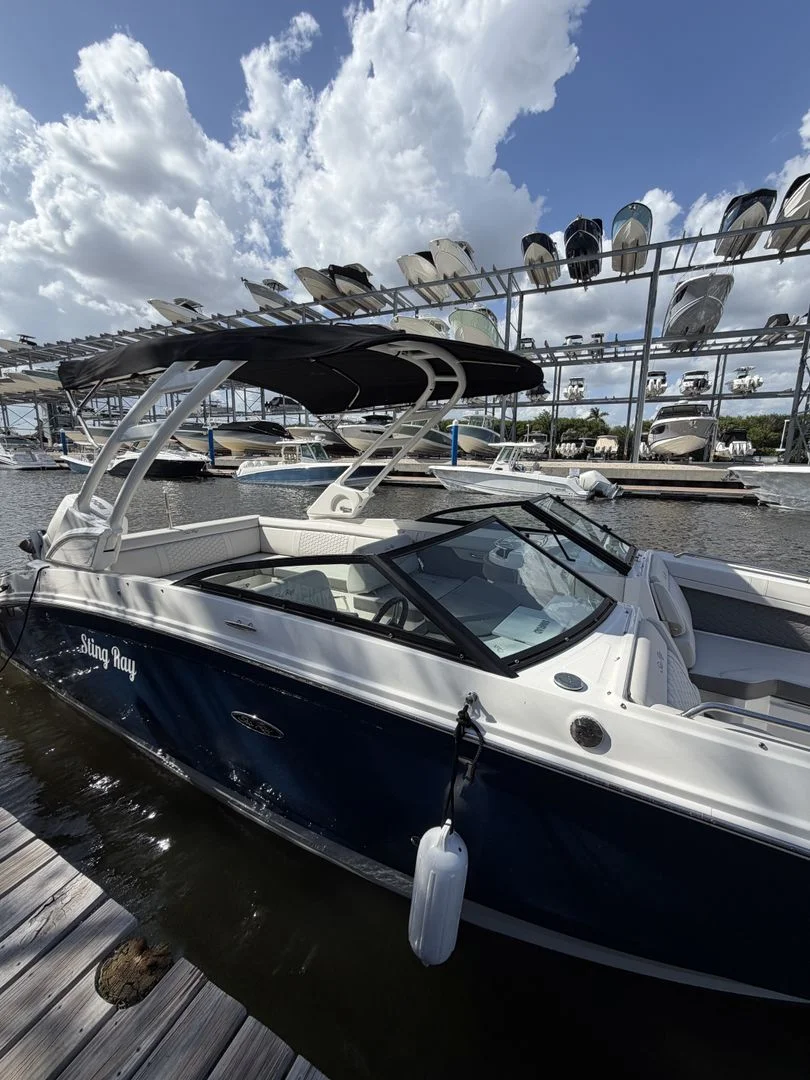 2024 Sea Ray 270 SDX OB Image Thumbnail #10