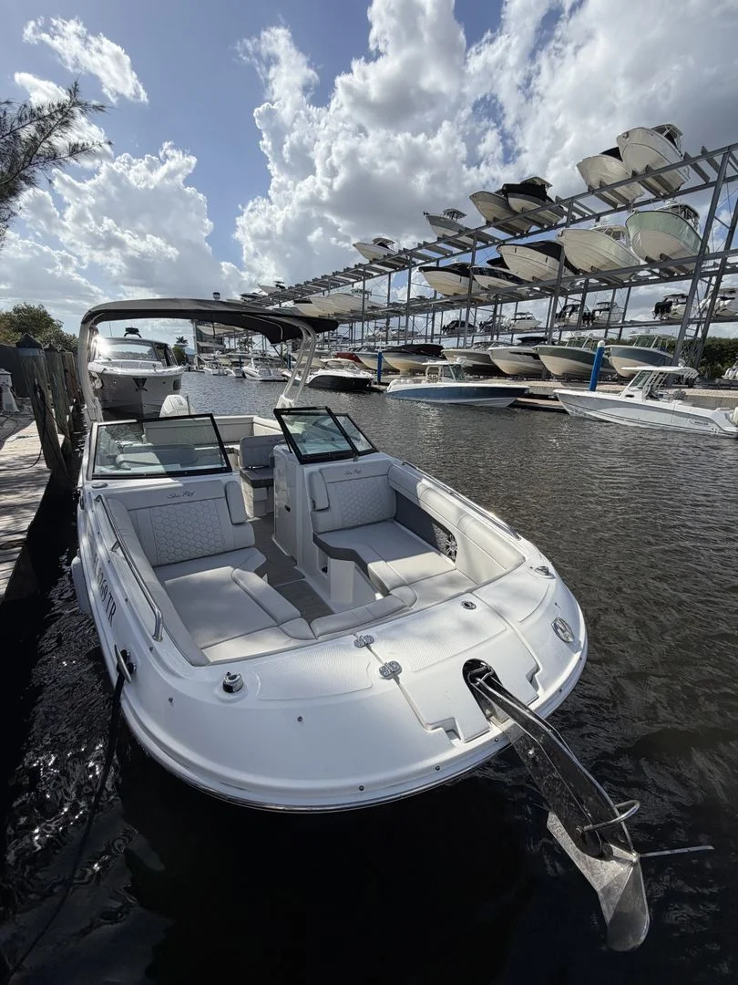 2024 Sea Ray 270 SDX OB Image Thumbnail #4
