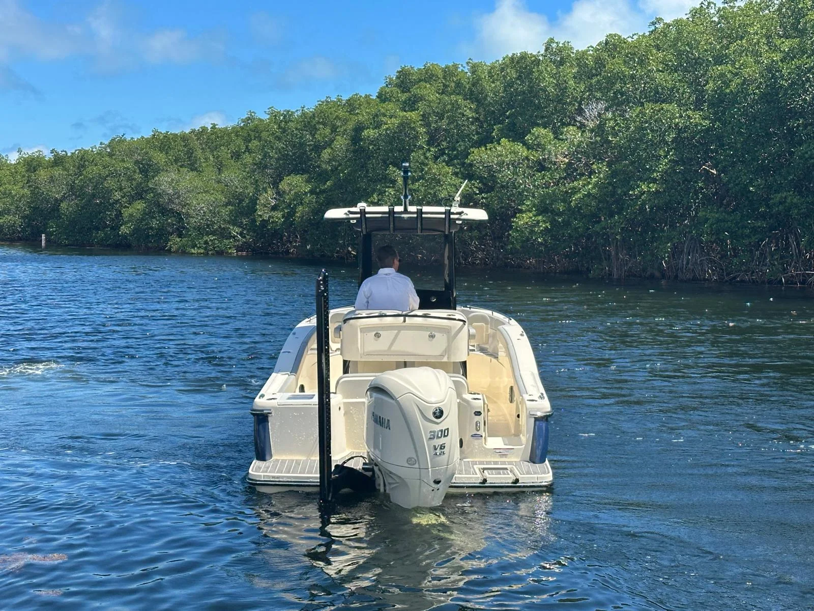 2025 Scout 240 XSF Image Thumbnail #4