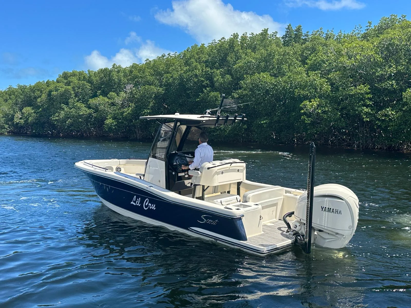 2025 Scout 240 XSF Image Thumbnail #3