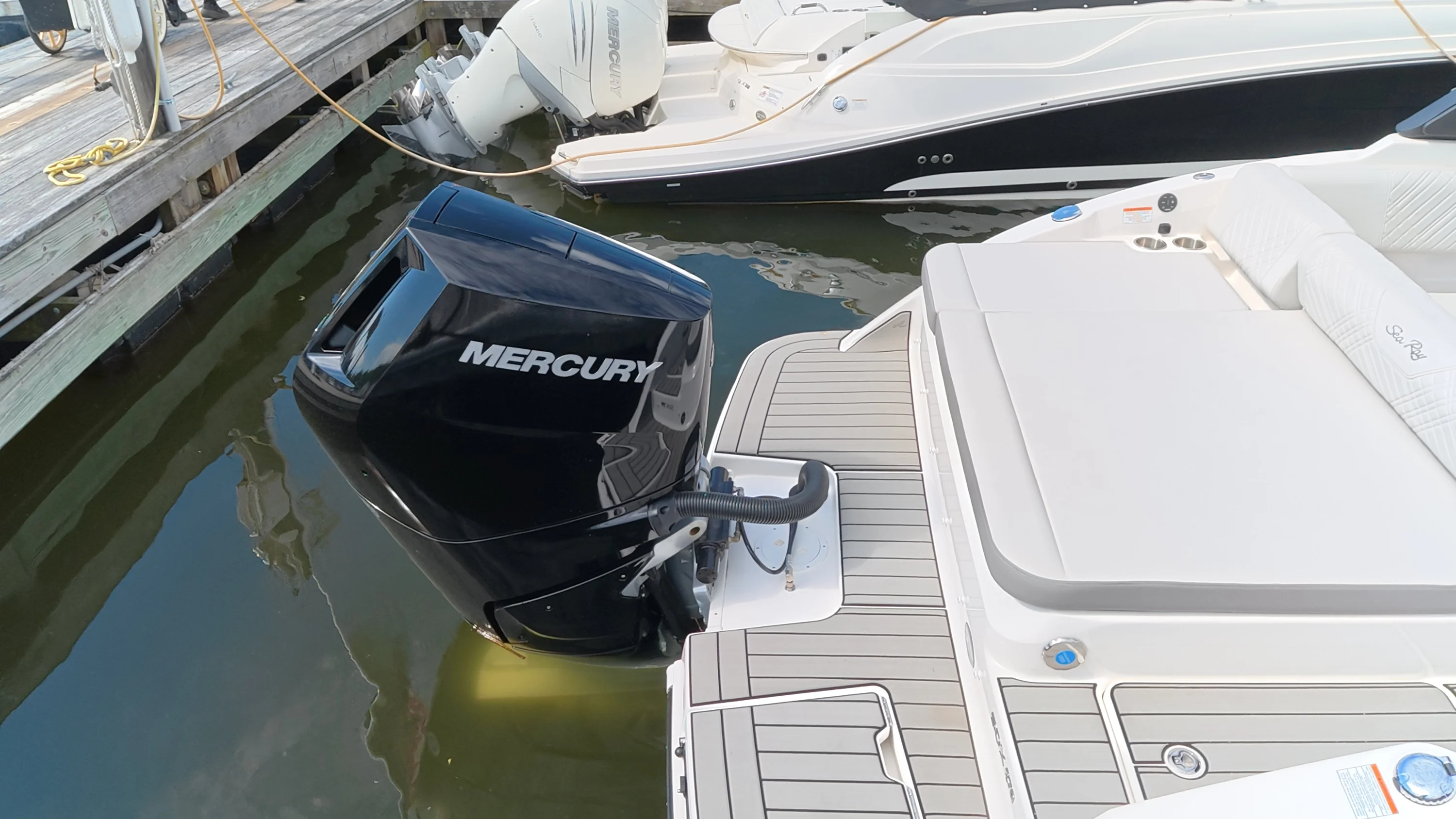 2025 Sea Ray SDX 270 Outboard Image Thumbnail #4