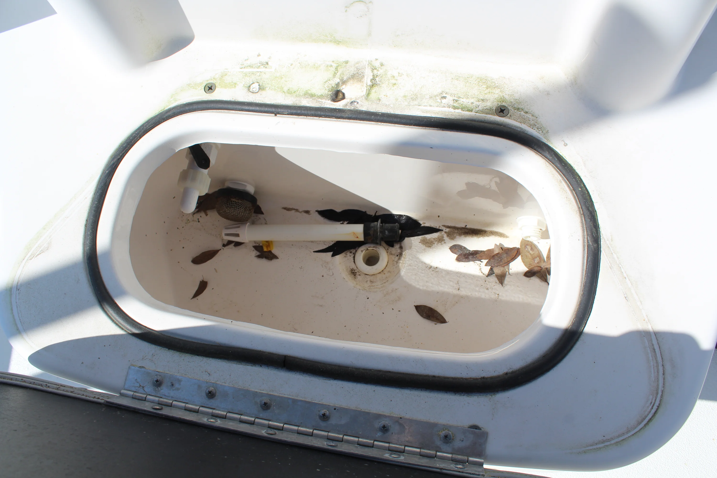 2022 Avid 23 FS MAG Image Thumbnail #18