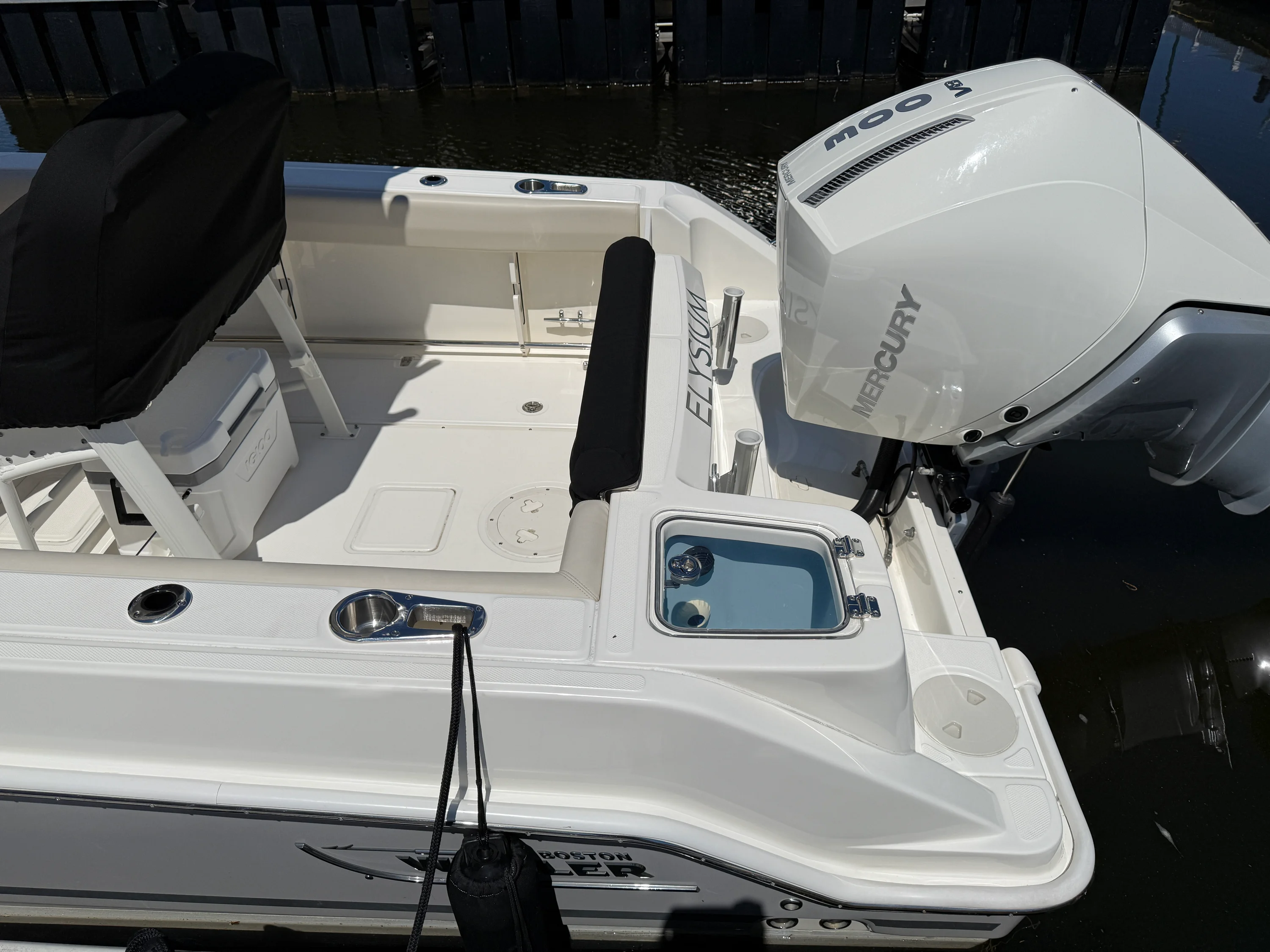 2024 Boston Whaler 230 OUTRAGE Image Thumbnail #6
