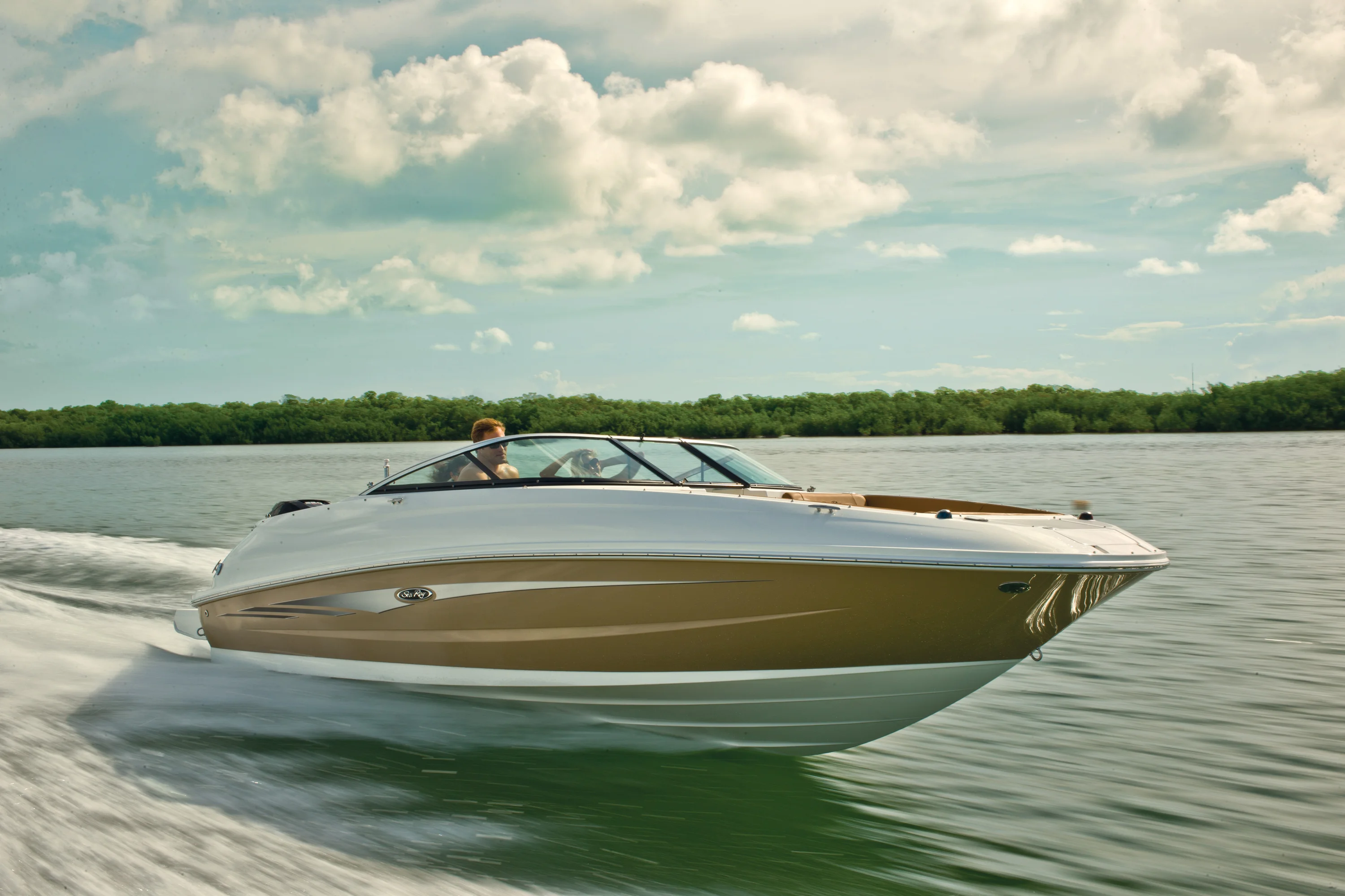 2016 Sea Ray 240 Sundeck Outboard Image Thumbnail #11