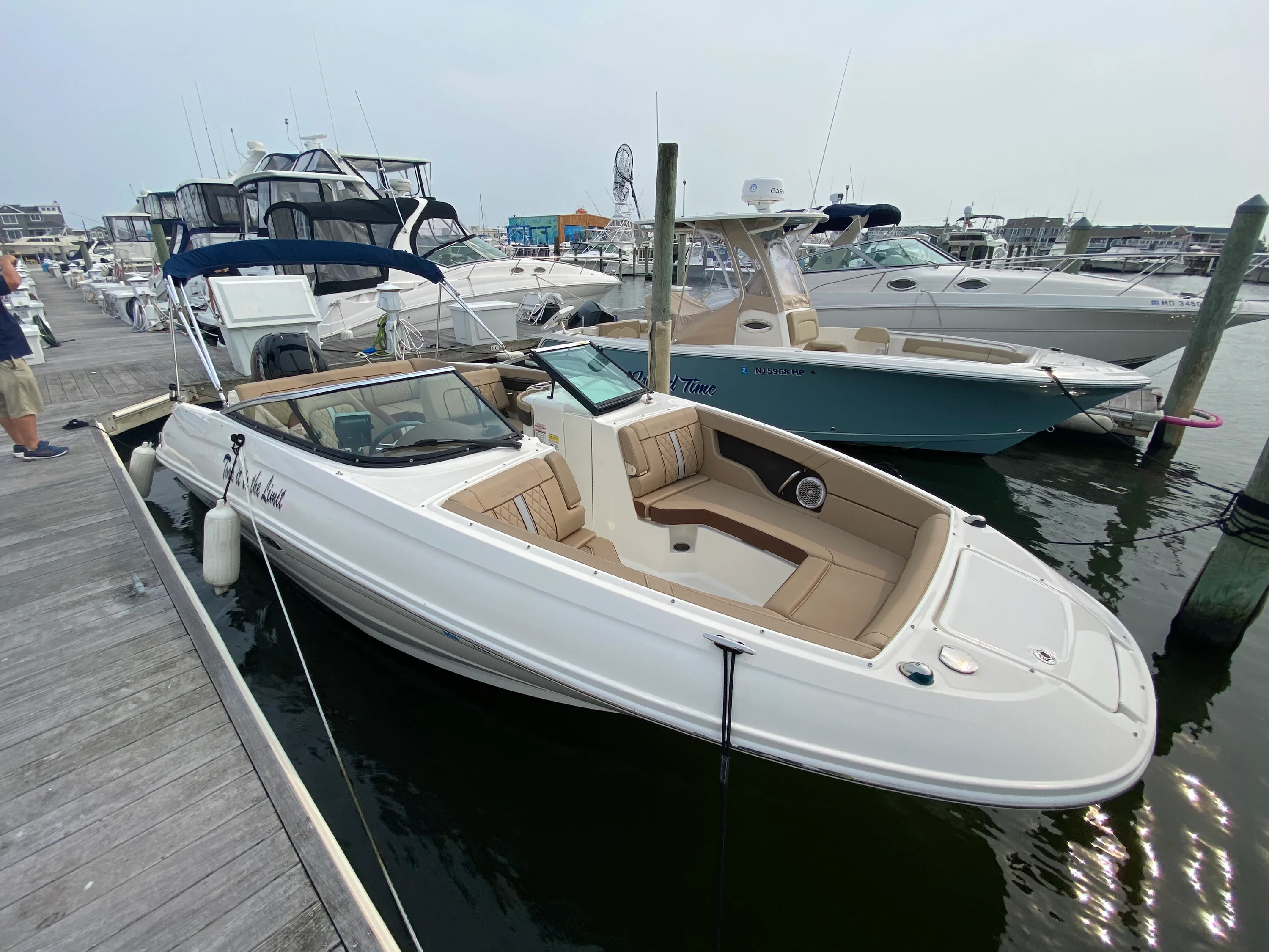 2016 Sea Ray 240 Sundeck Outboard Image Thumbnail #2