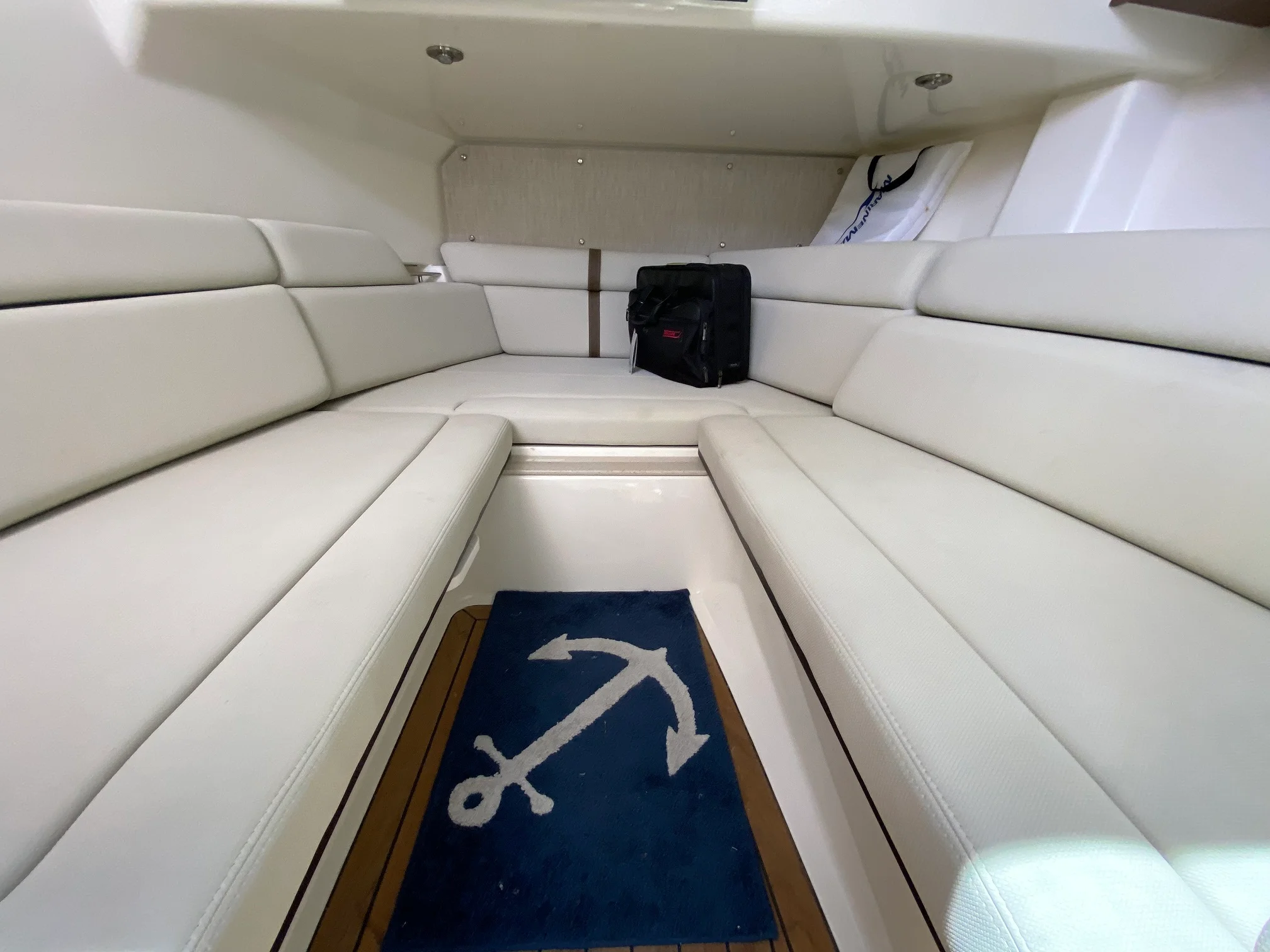 2020 Boston Whaler 350 REALM Image Thumbnail #18