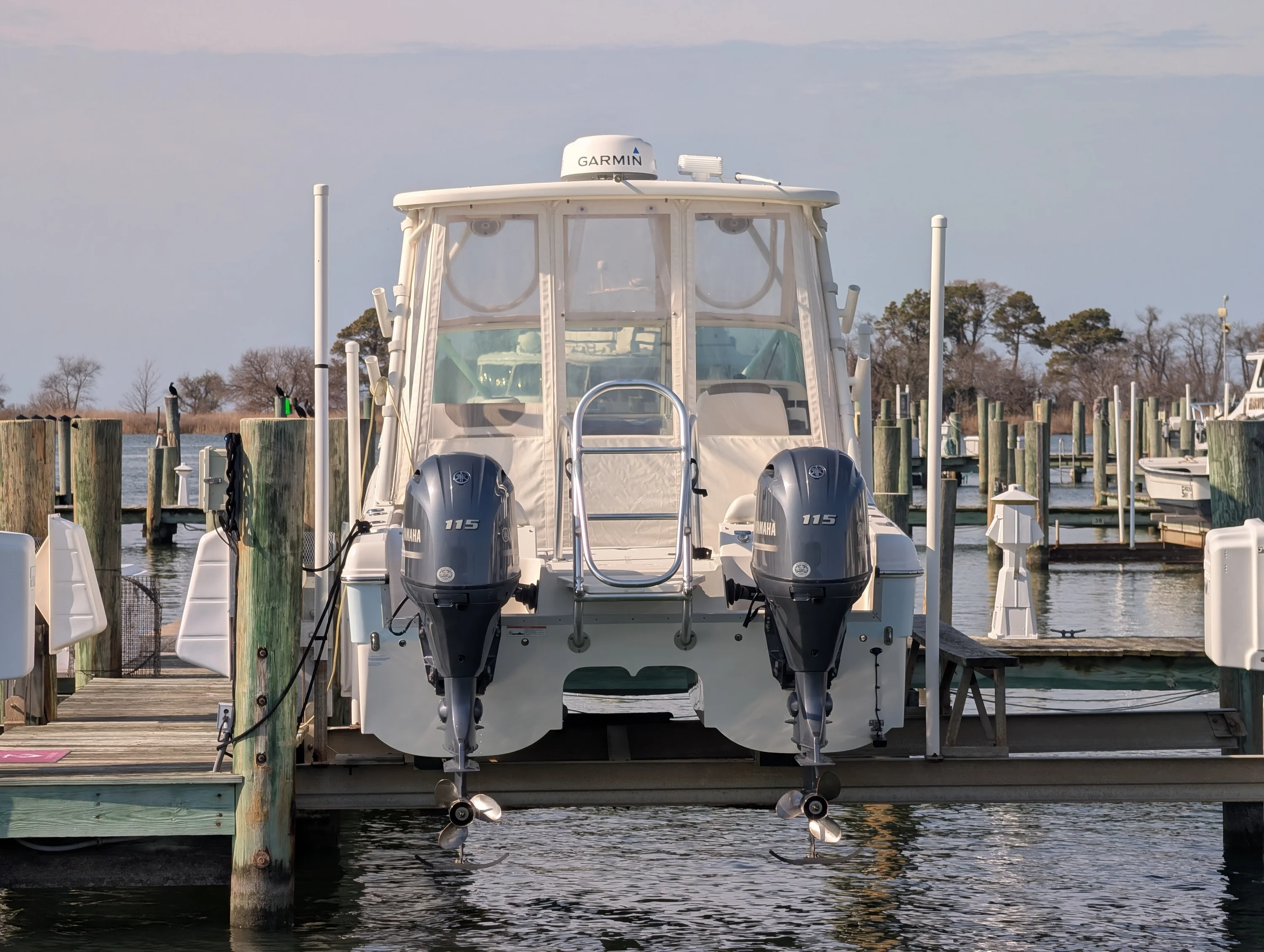 2020 World Cat 230 EX Image Thumbnail #3