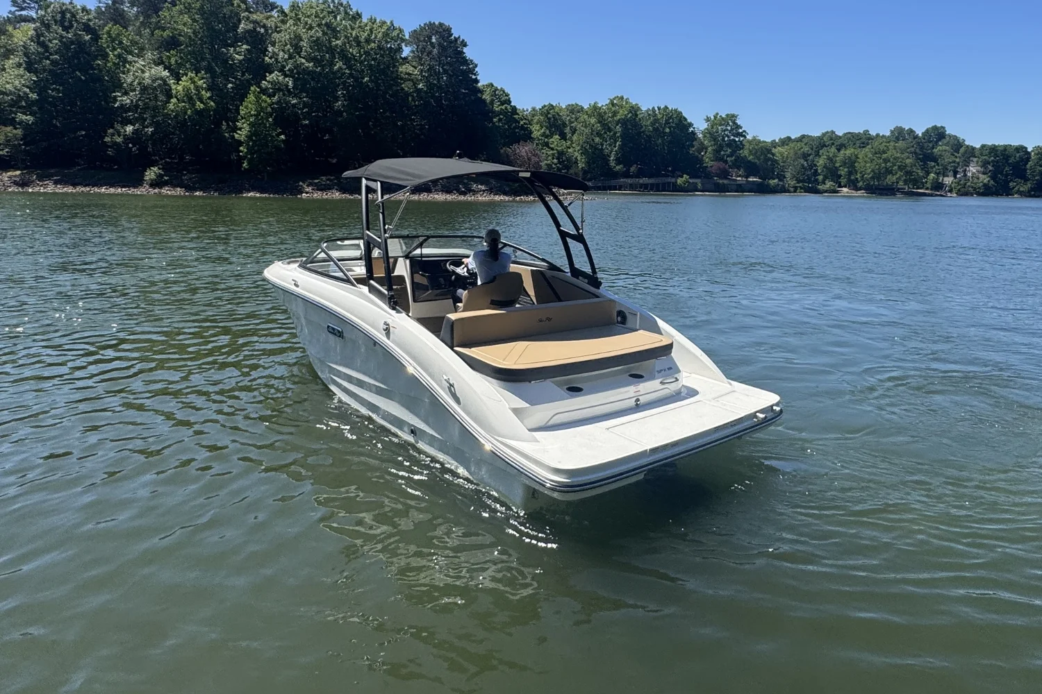 2026 Sea Ray SPX 210 Image Thumbnail #1