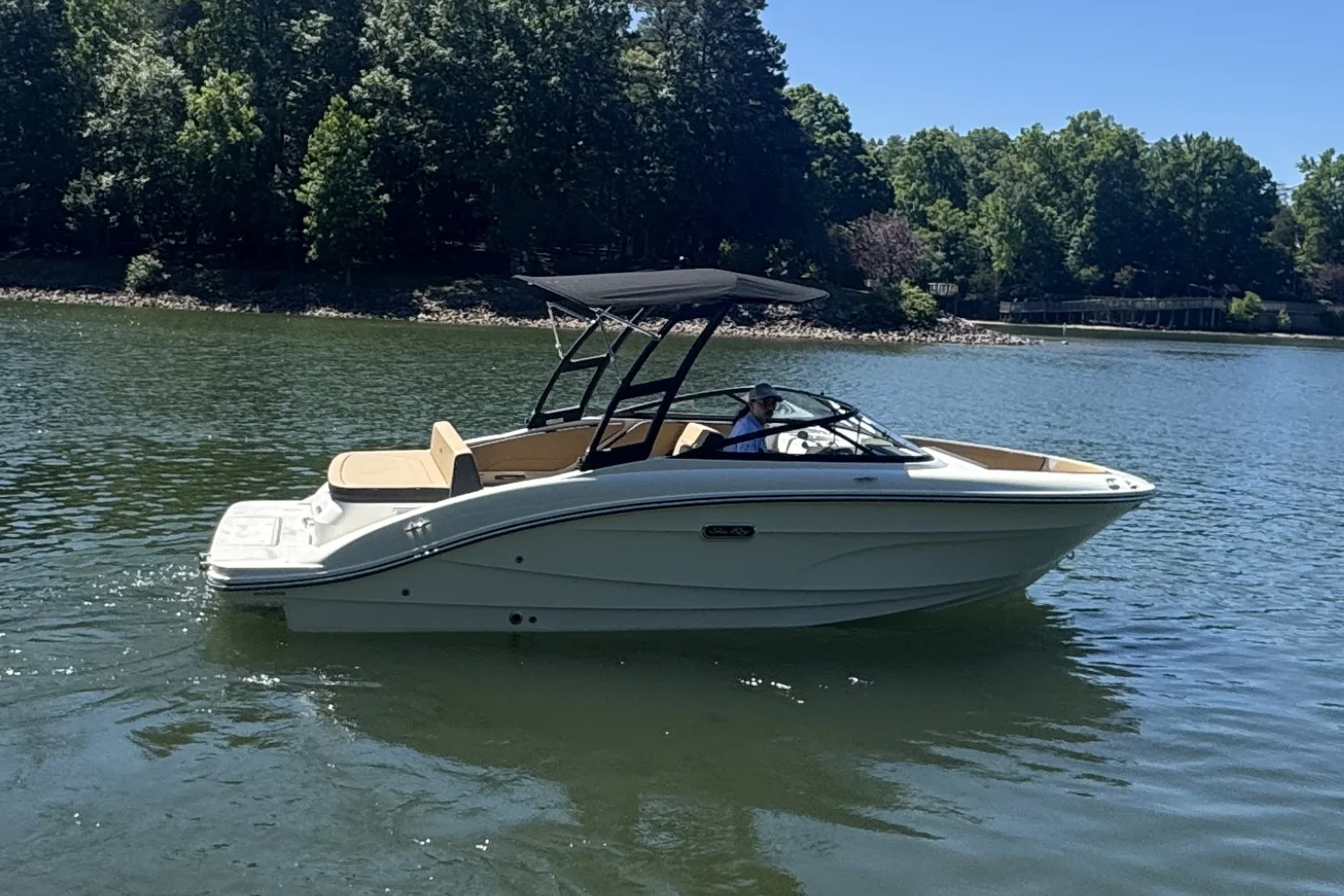 2026 Sea Ray SPX 210 Image Thumbnail #4