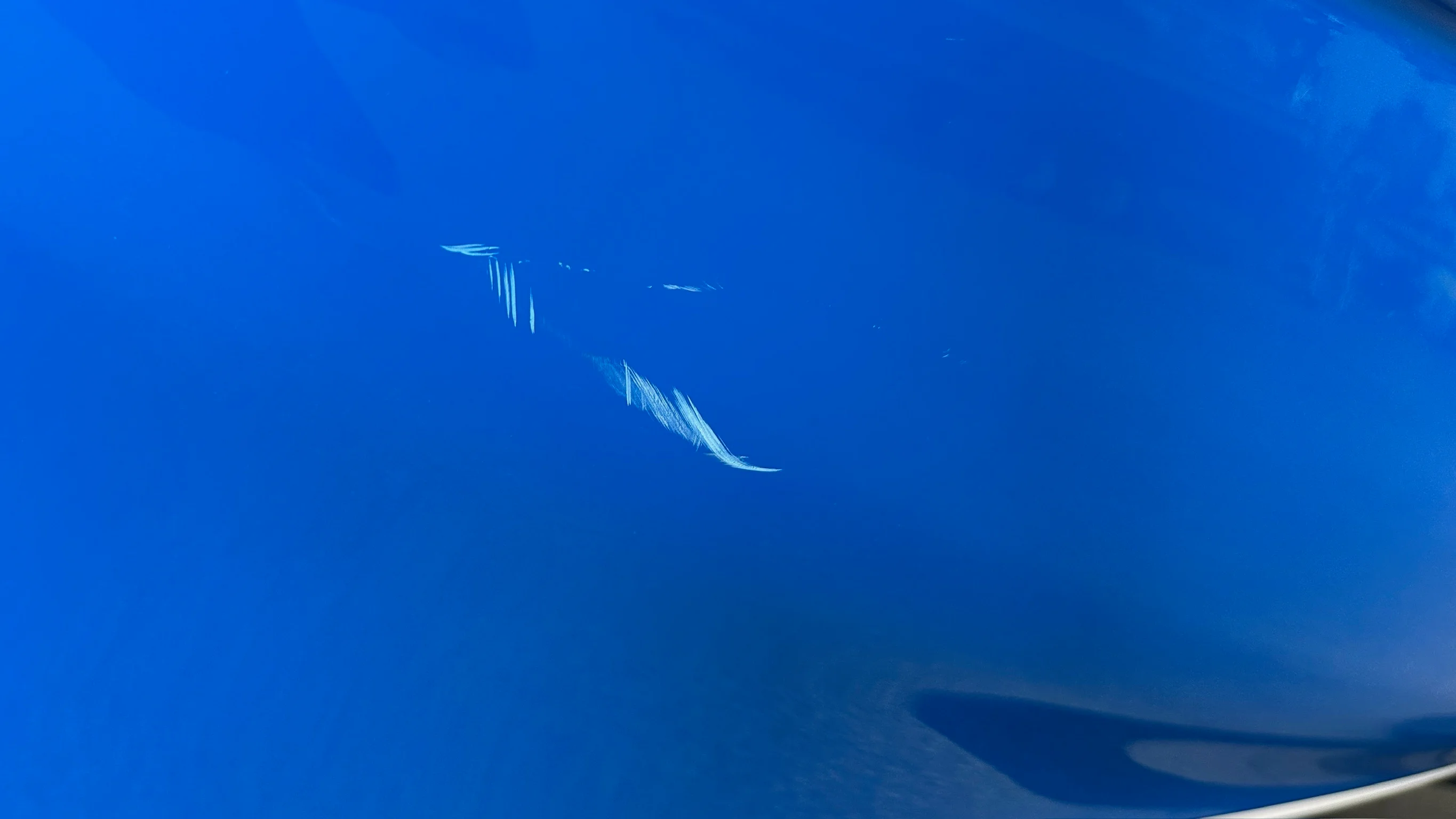2019 Yamaha AR210 Image Thumbnail #61