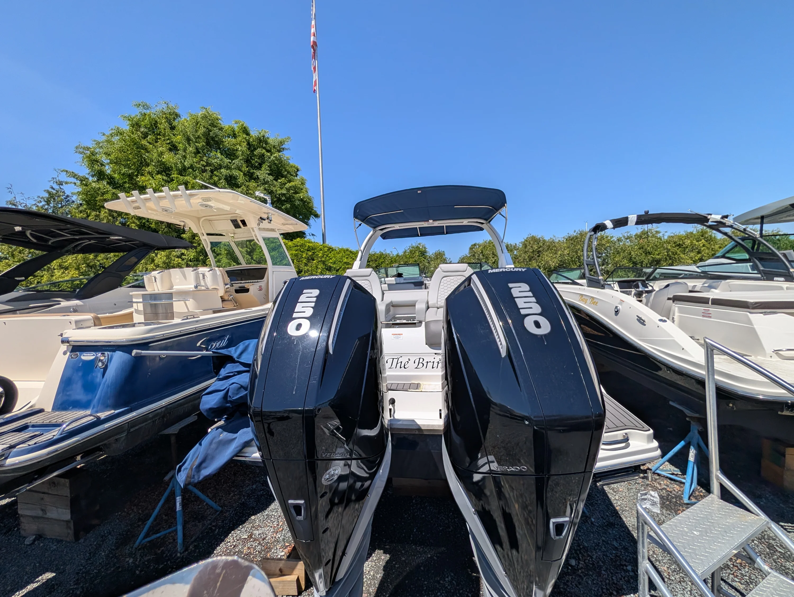 2022 Sea Ray 290 SD OB Image Thumbnail #0