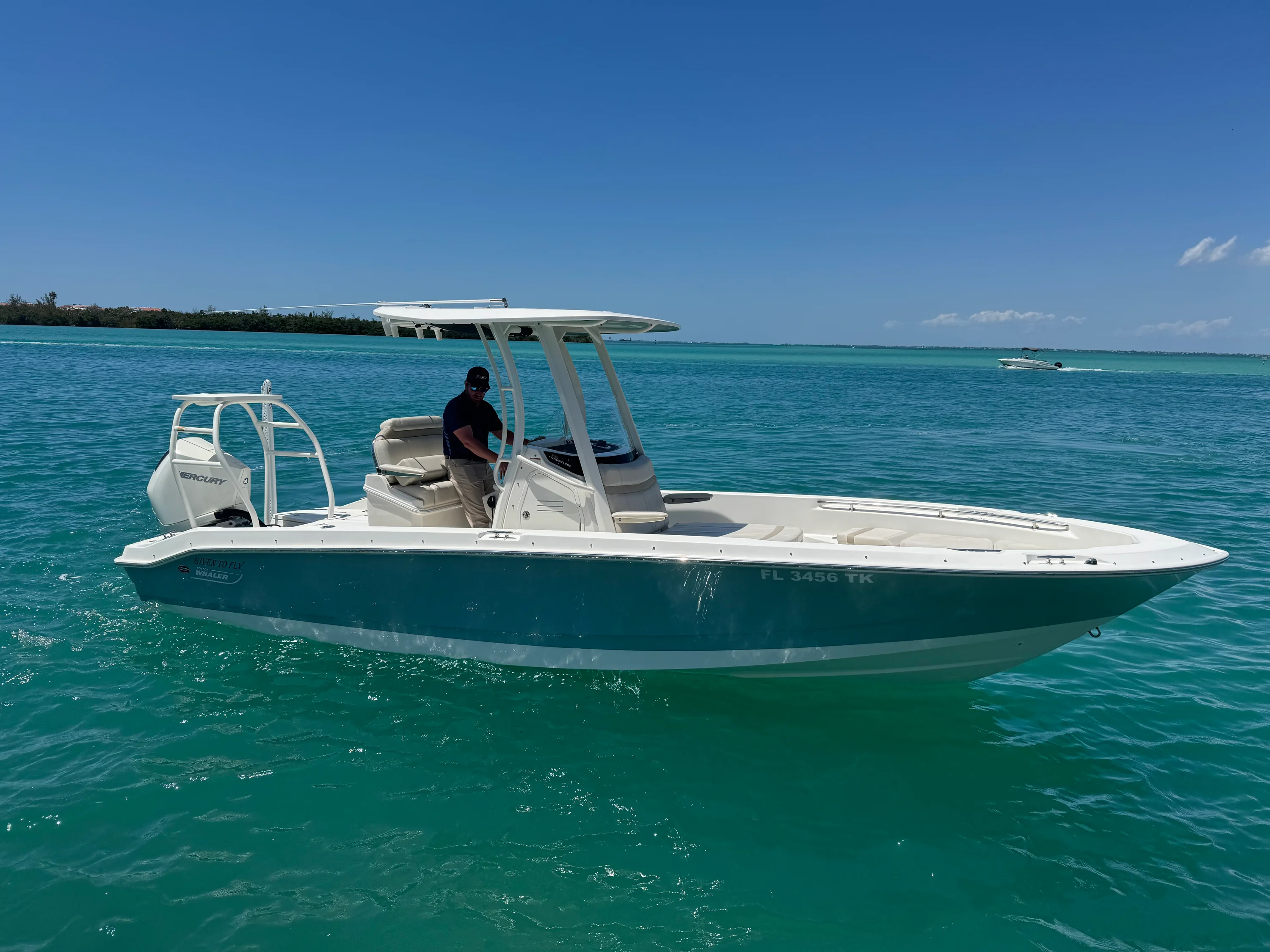 2023 Boston Whaler 250 DAUNTLESS Image Thumbnail #0