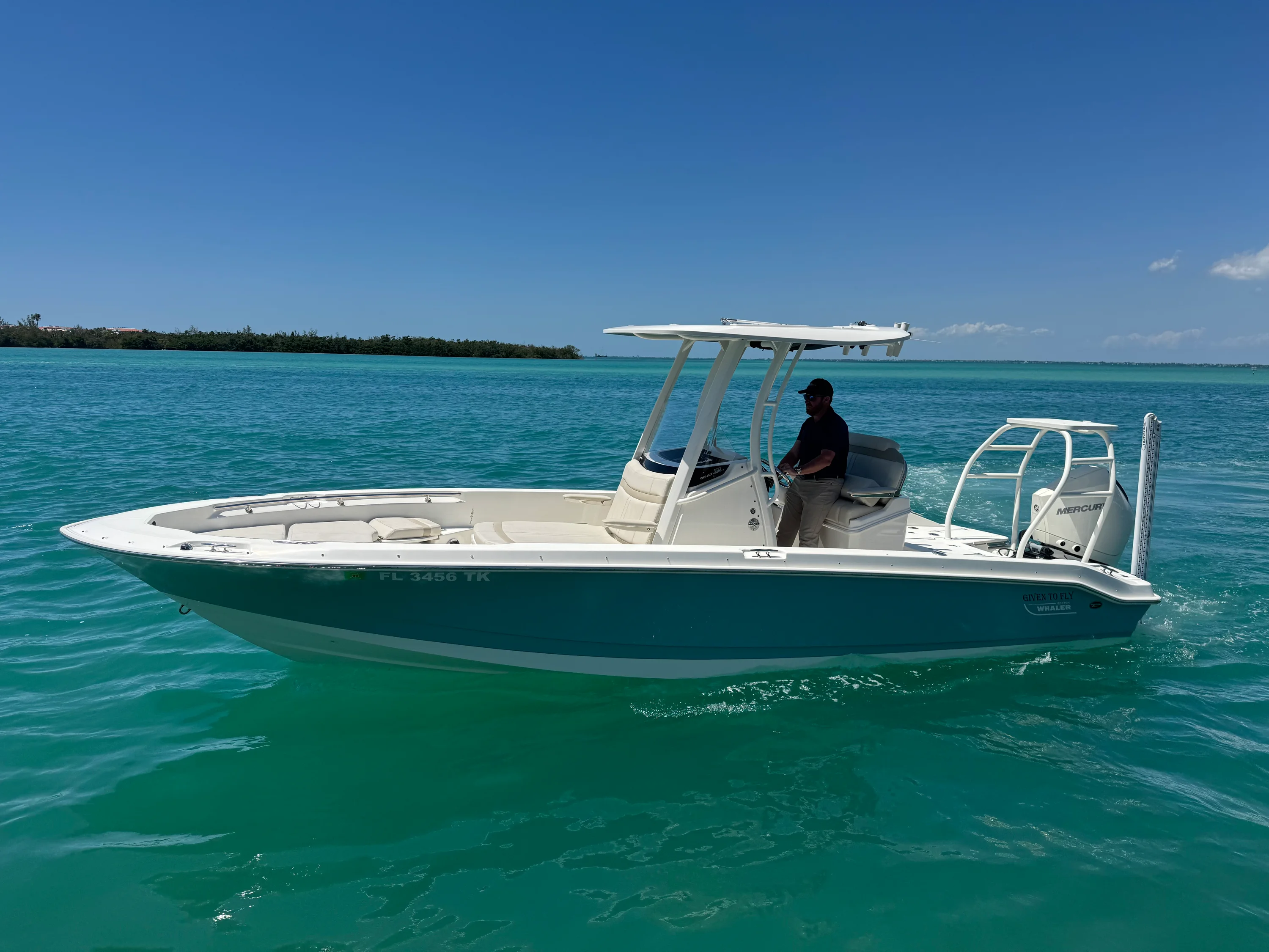 2023 Boston Whaler 250 DAUNTLESS Image Thumbnail #5