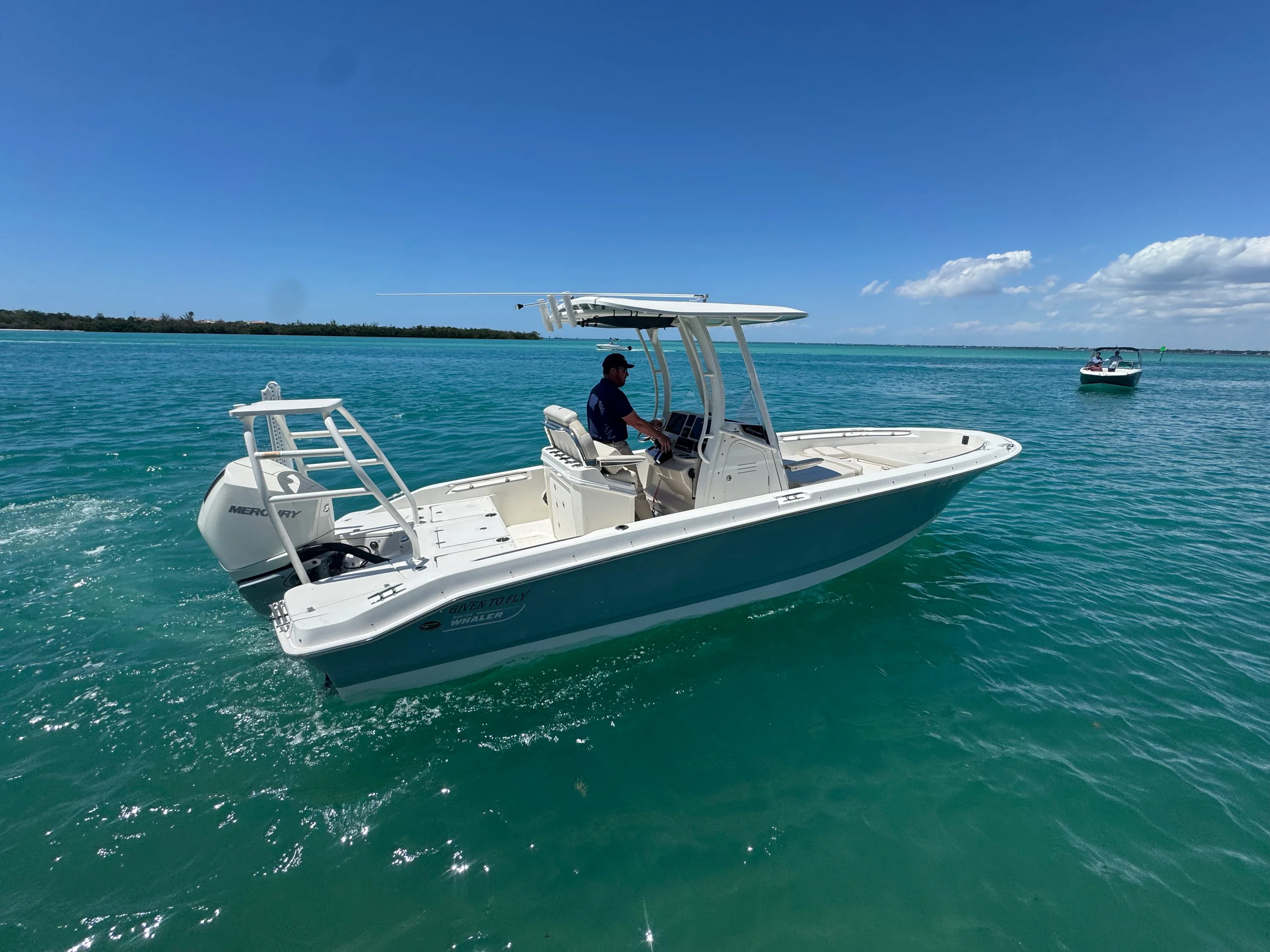 2023 Boston Whaler 250 DAUNTLESS Image Thumbnail #2
