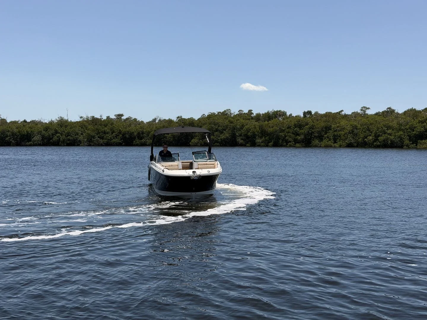 2024 Sea Ray 270 SDX OB Image Thumbnail #6