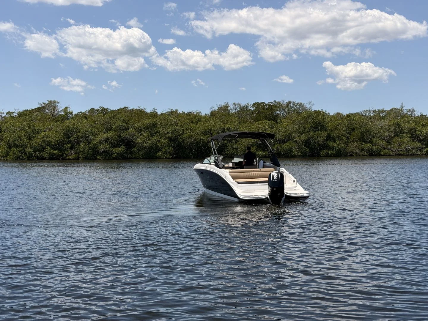 2024 Sea Ray 270 SDX OB Image Thumbnail #10