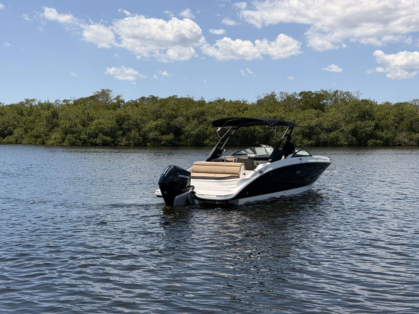 2024 Sea Ray 270 SDX OB Image Thumbnail #9