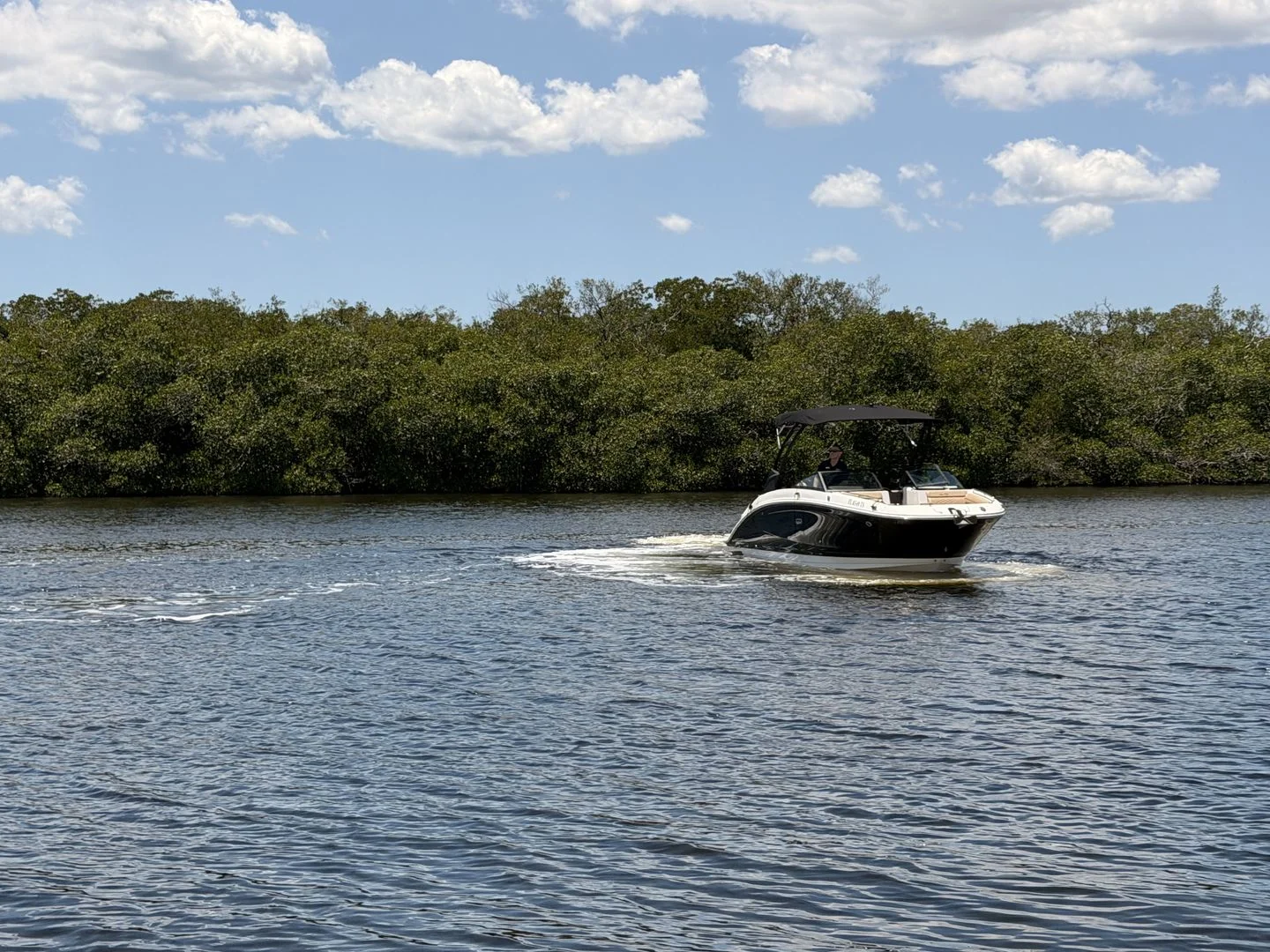 2024 Sea Ray 270 SDX OB Image Thumbnail #4