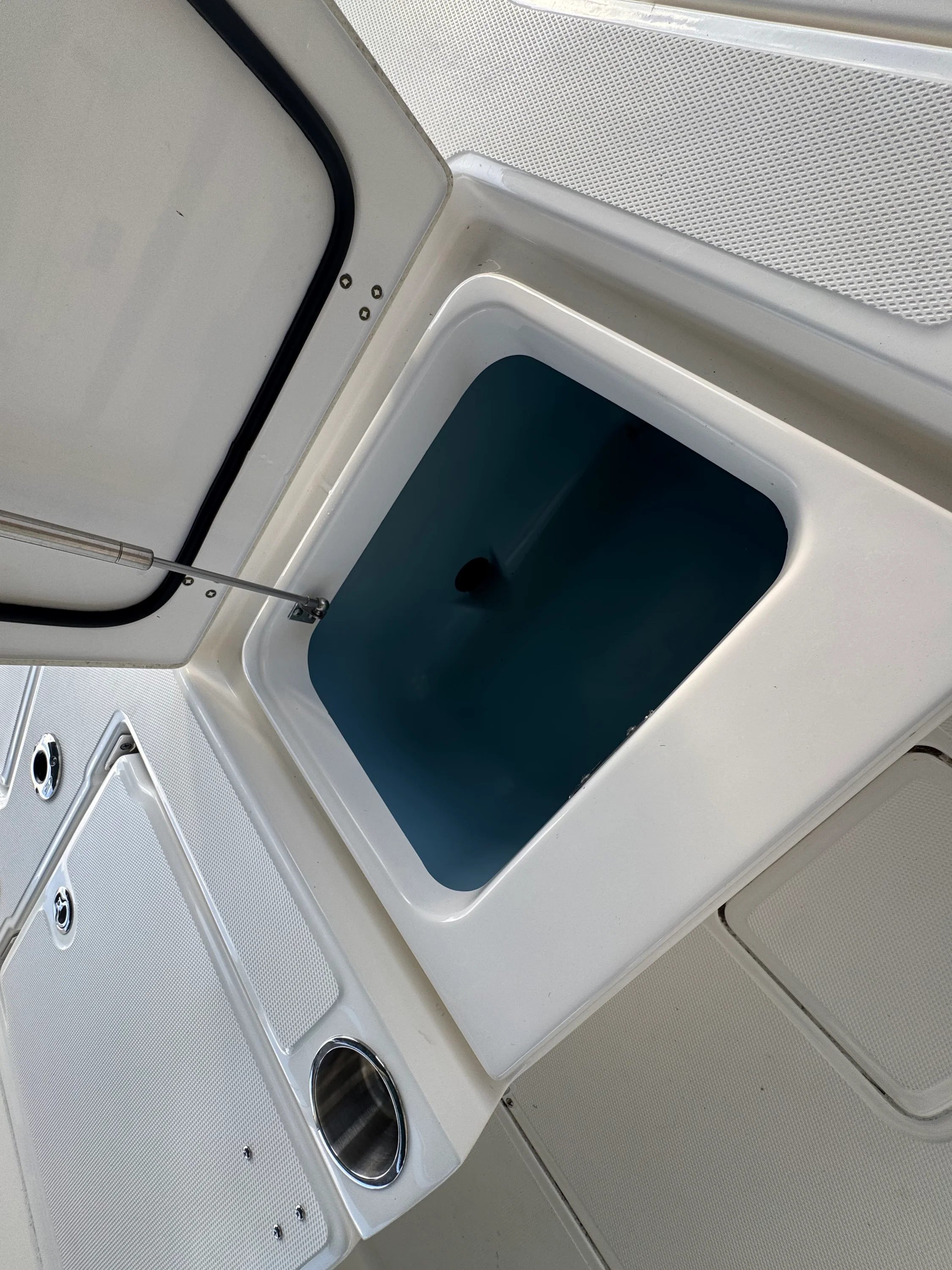 2024 Boston Whaler 250 DAUNTLESS Image Thumbnail #11