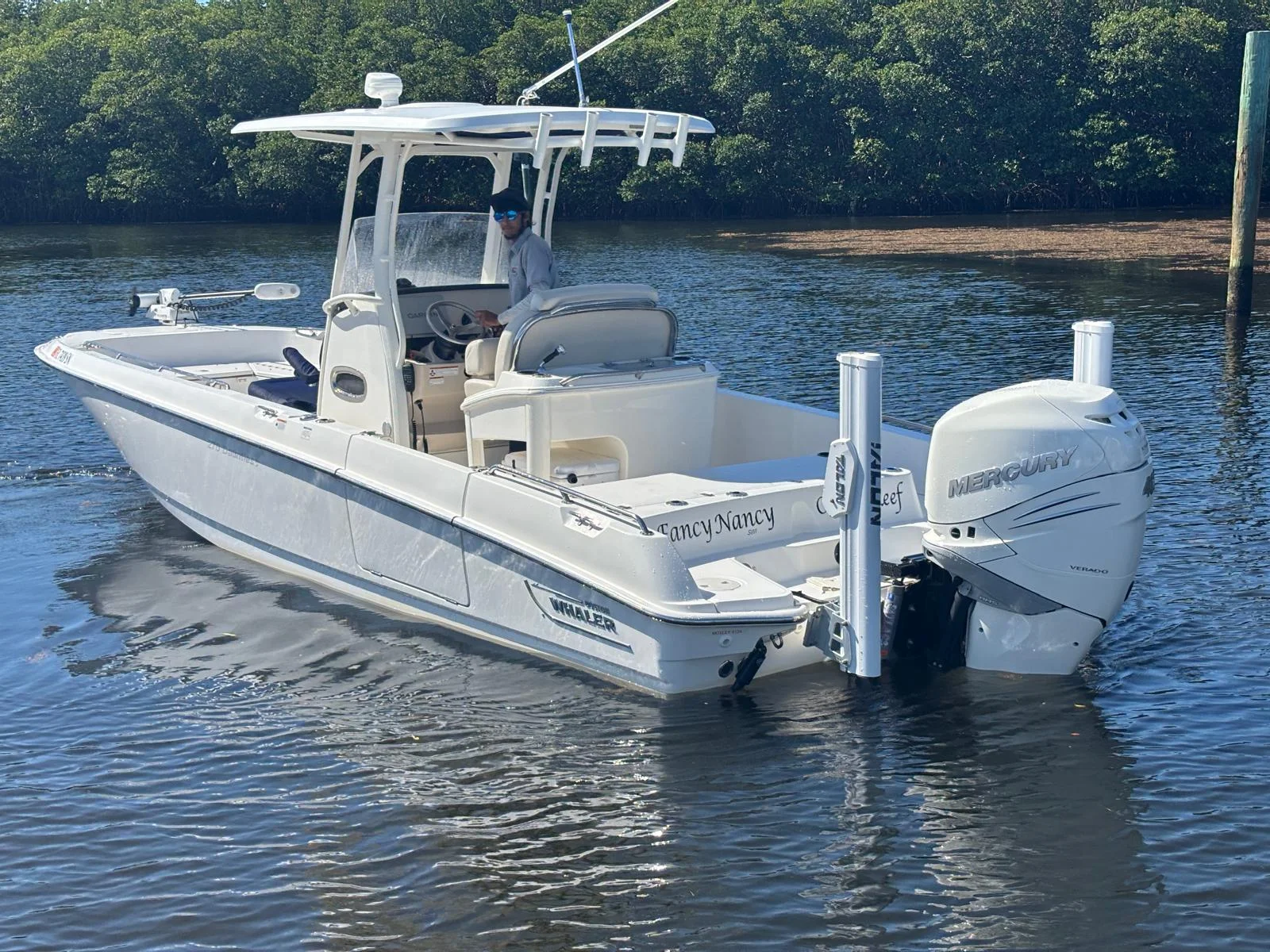 2020 Boston Whaler 270 DAUNTLESS Image Thumbnail #2