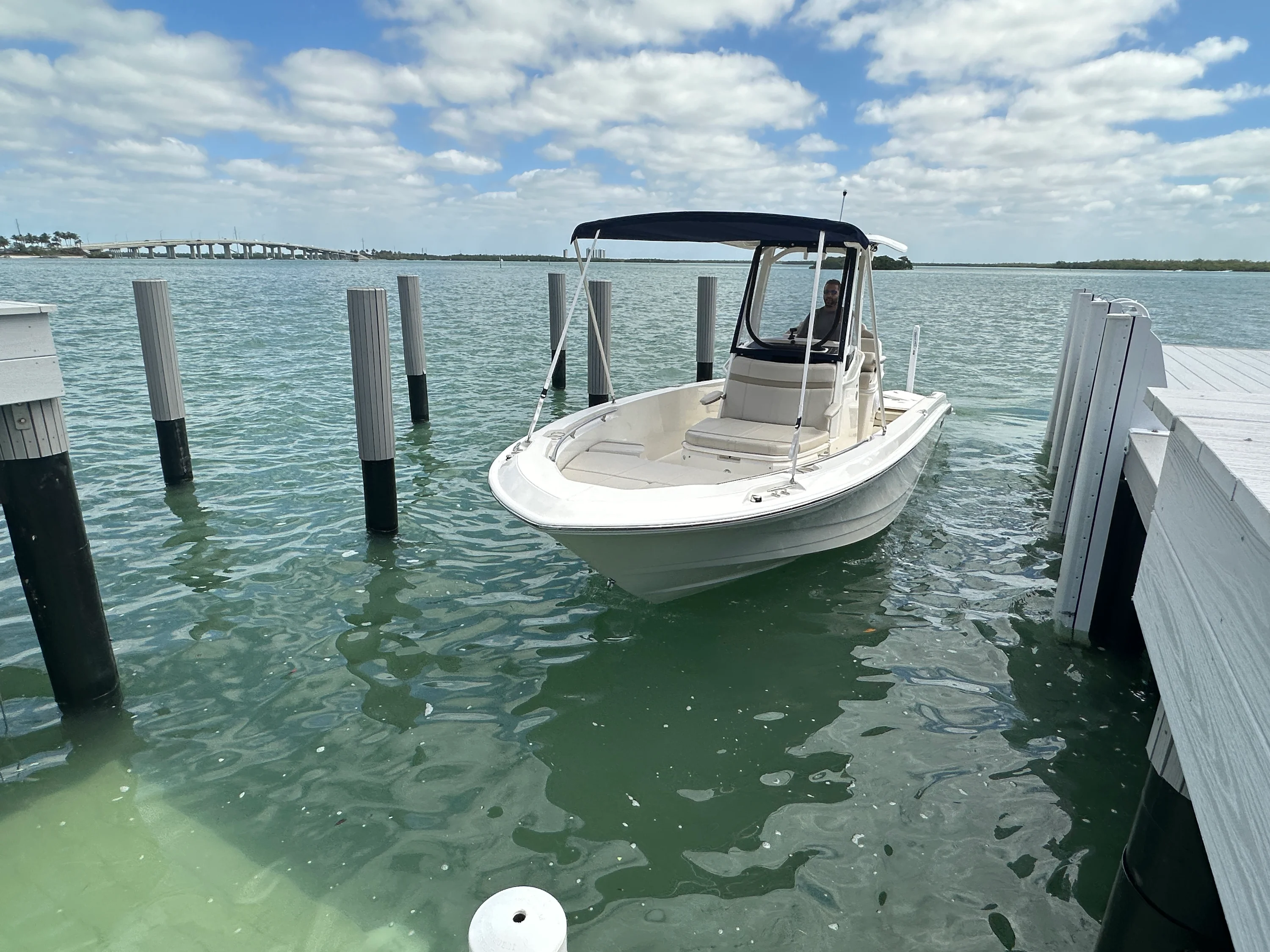2024 Boston Whaler 250 DAUNTLESS Image Thumbnail #15