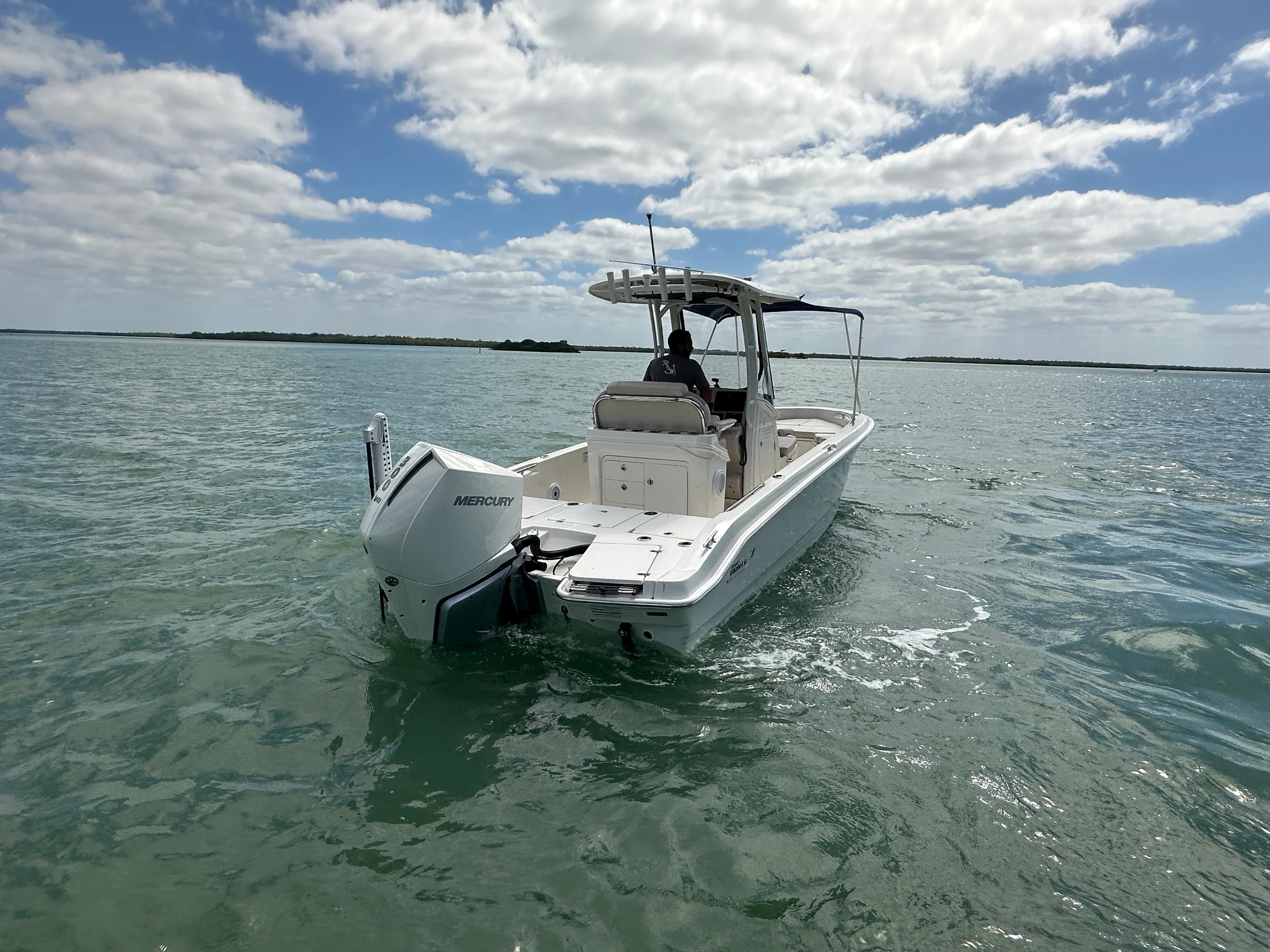 2024 Boston Whaler 250 DAUNTLESS Image Thumbnail #7