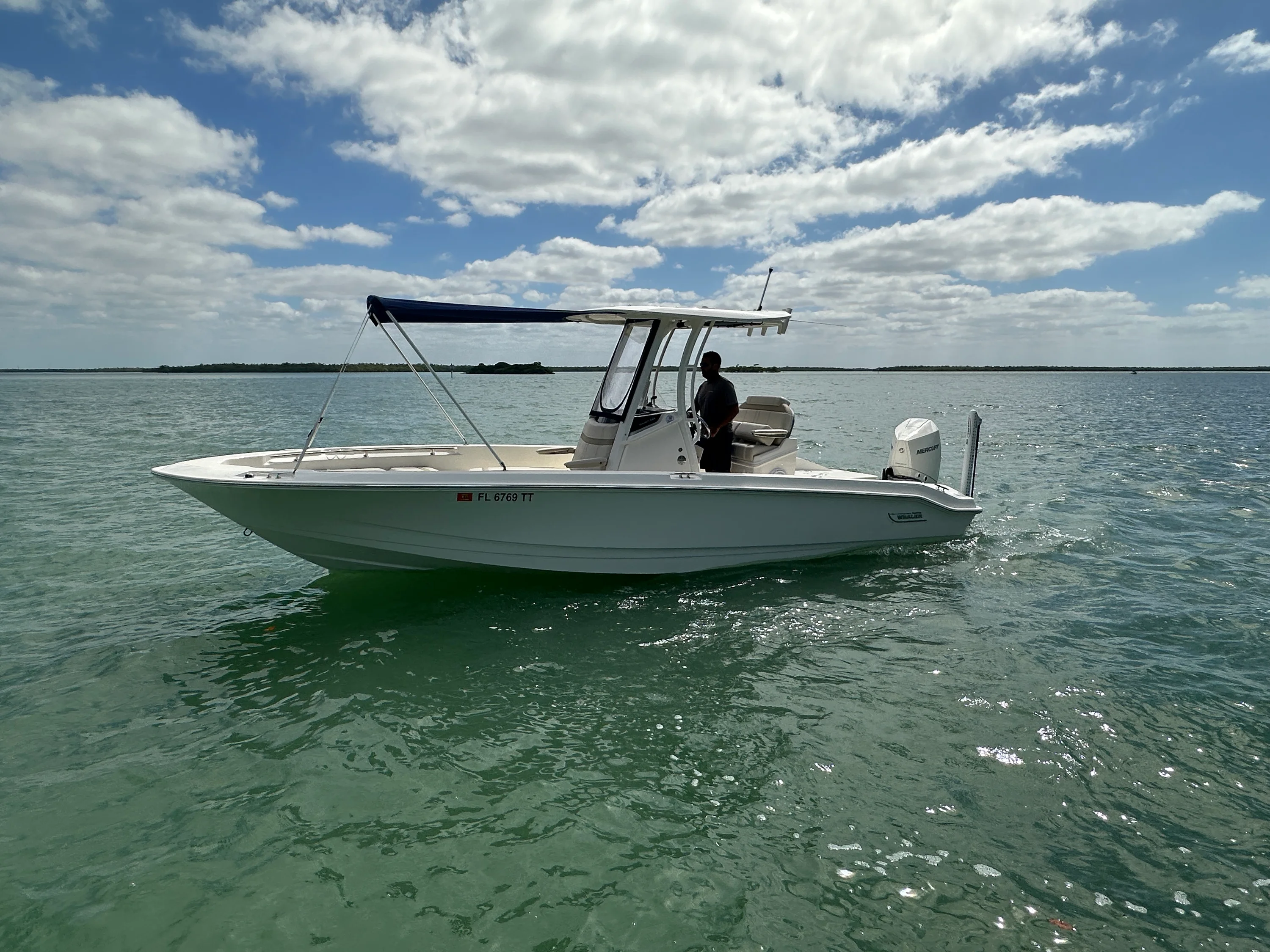 2024 Boston Whaler 250 DAUNTLESS Image Thumbnail #9
