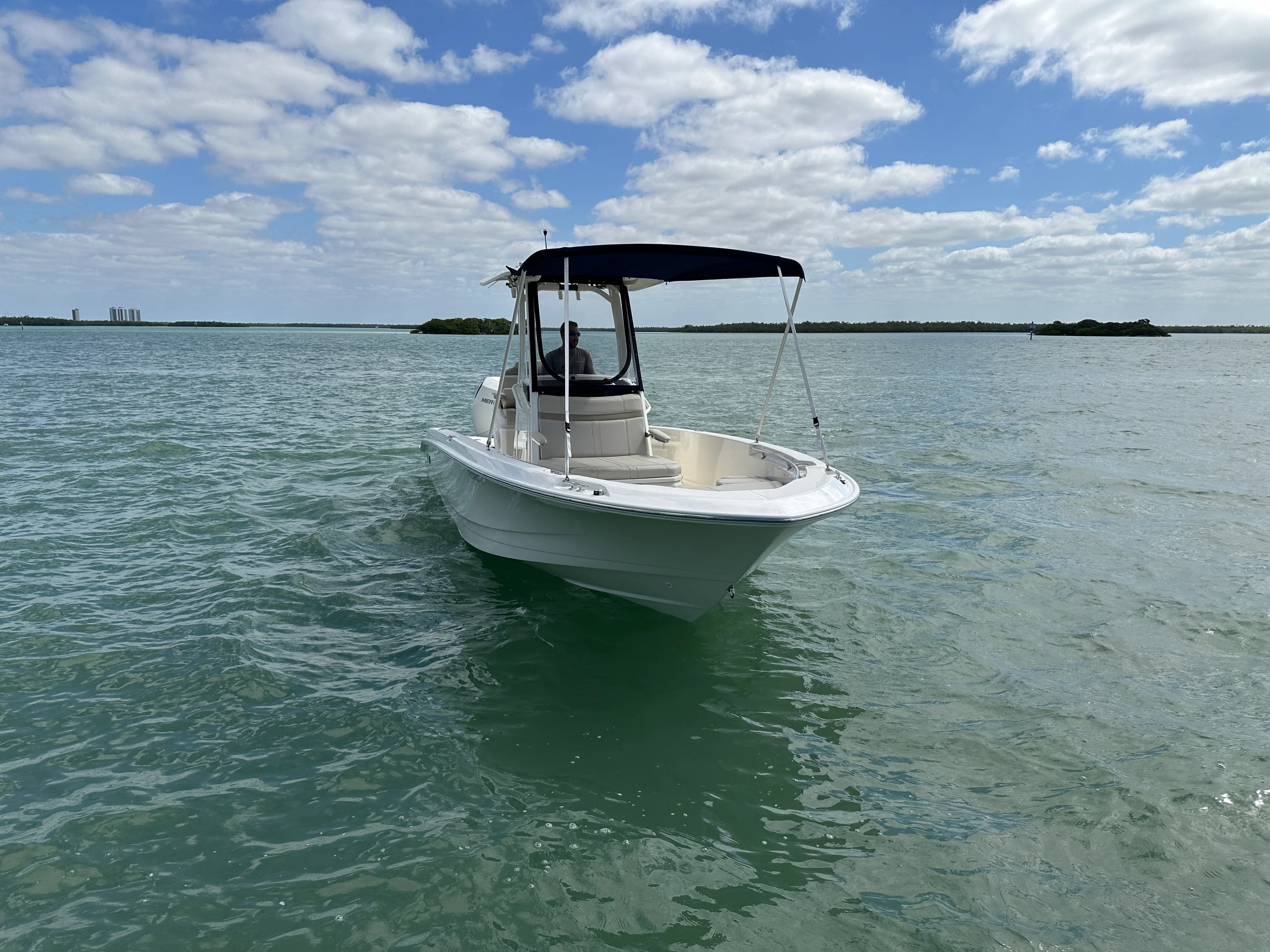 2024 Boston Whaler 250 DAUNTLESS Image Thumbnail #5