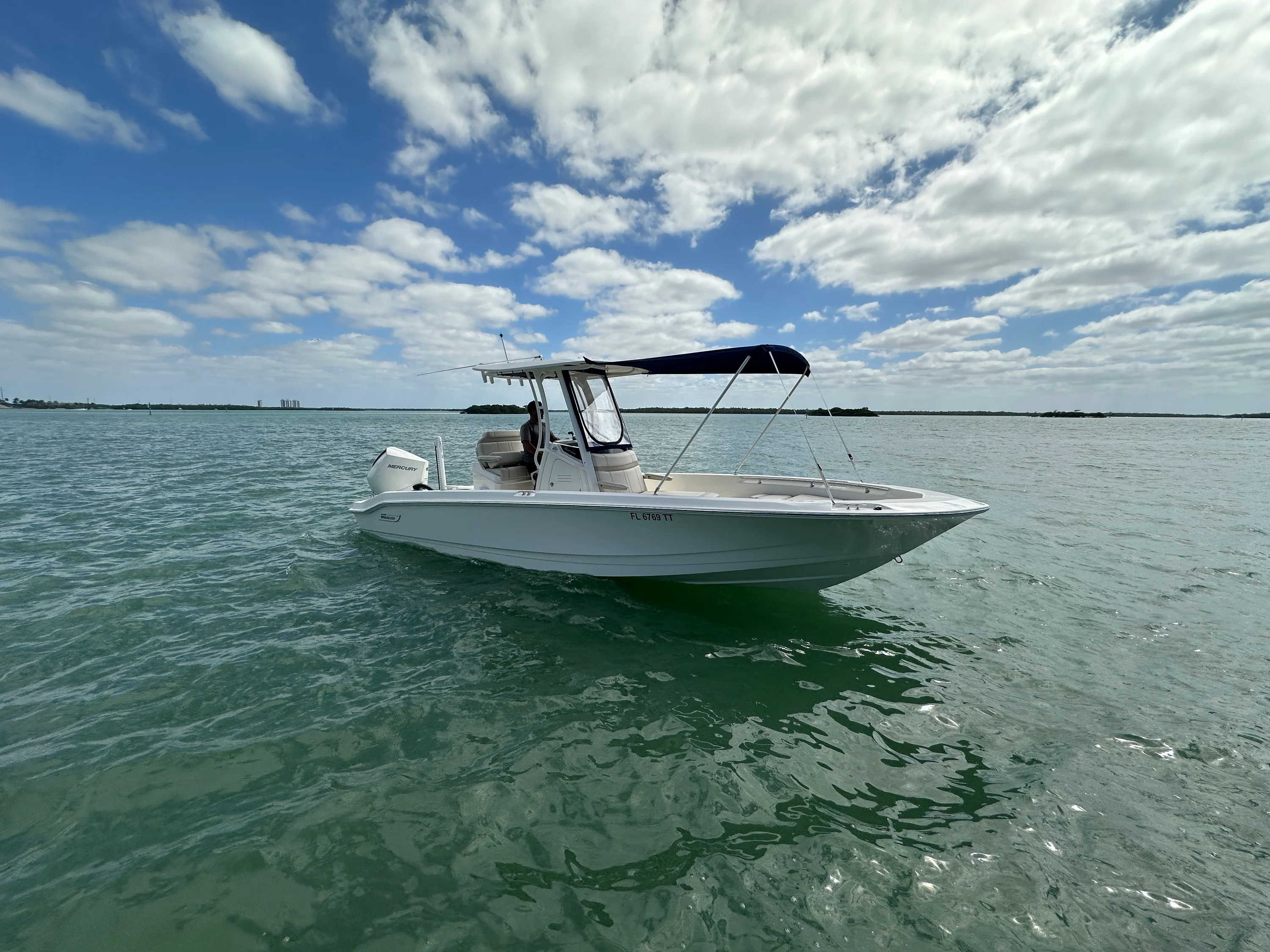 2024 Boston Whaler 250 DAUNTLESS Image Thumbnail #2