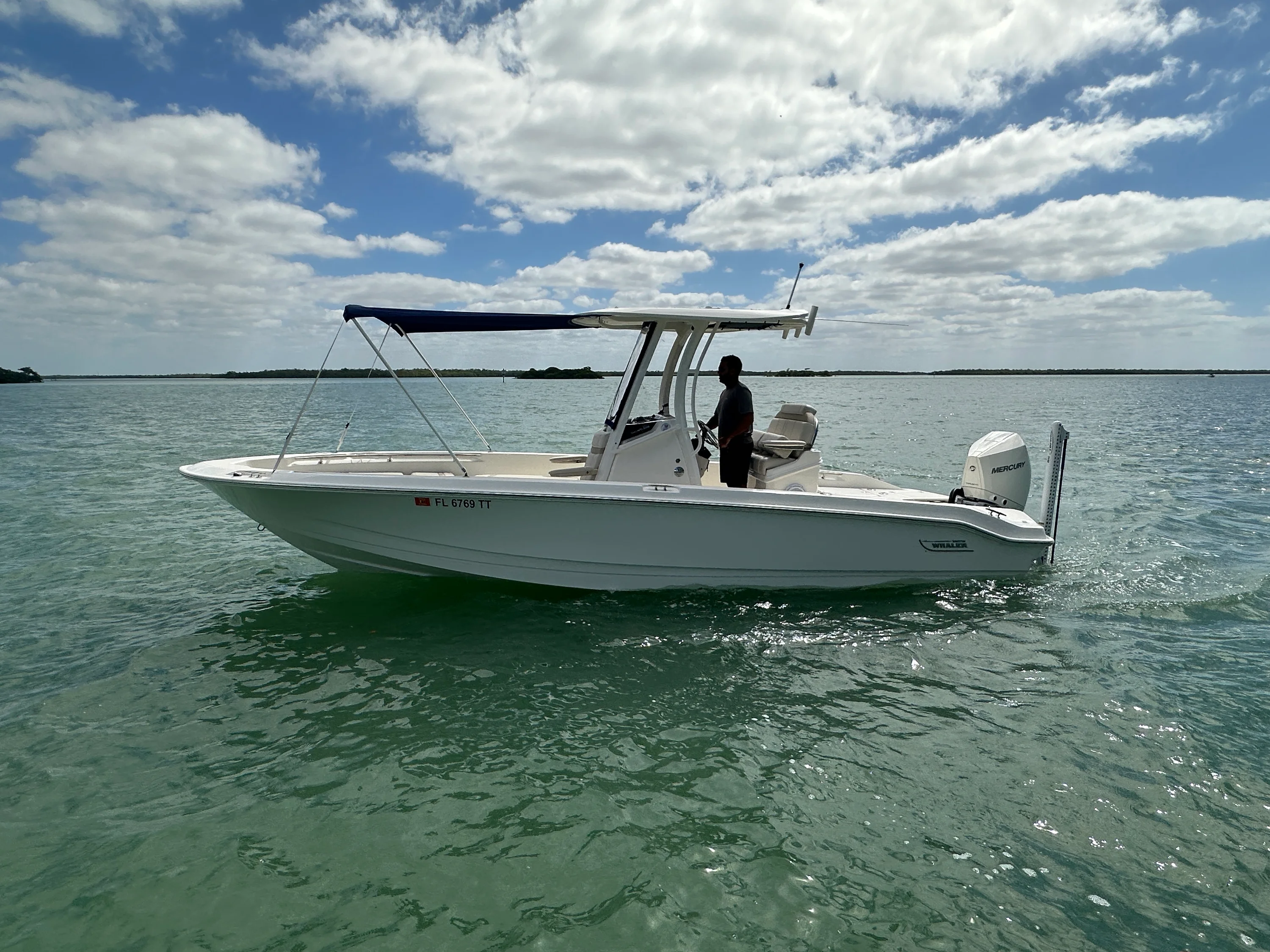 2024 Boston Whaler 250 DAUNTLESS Image Thumbnail #11