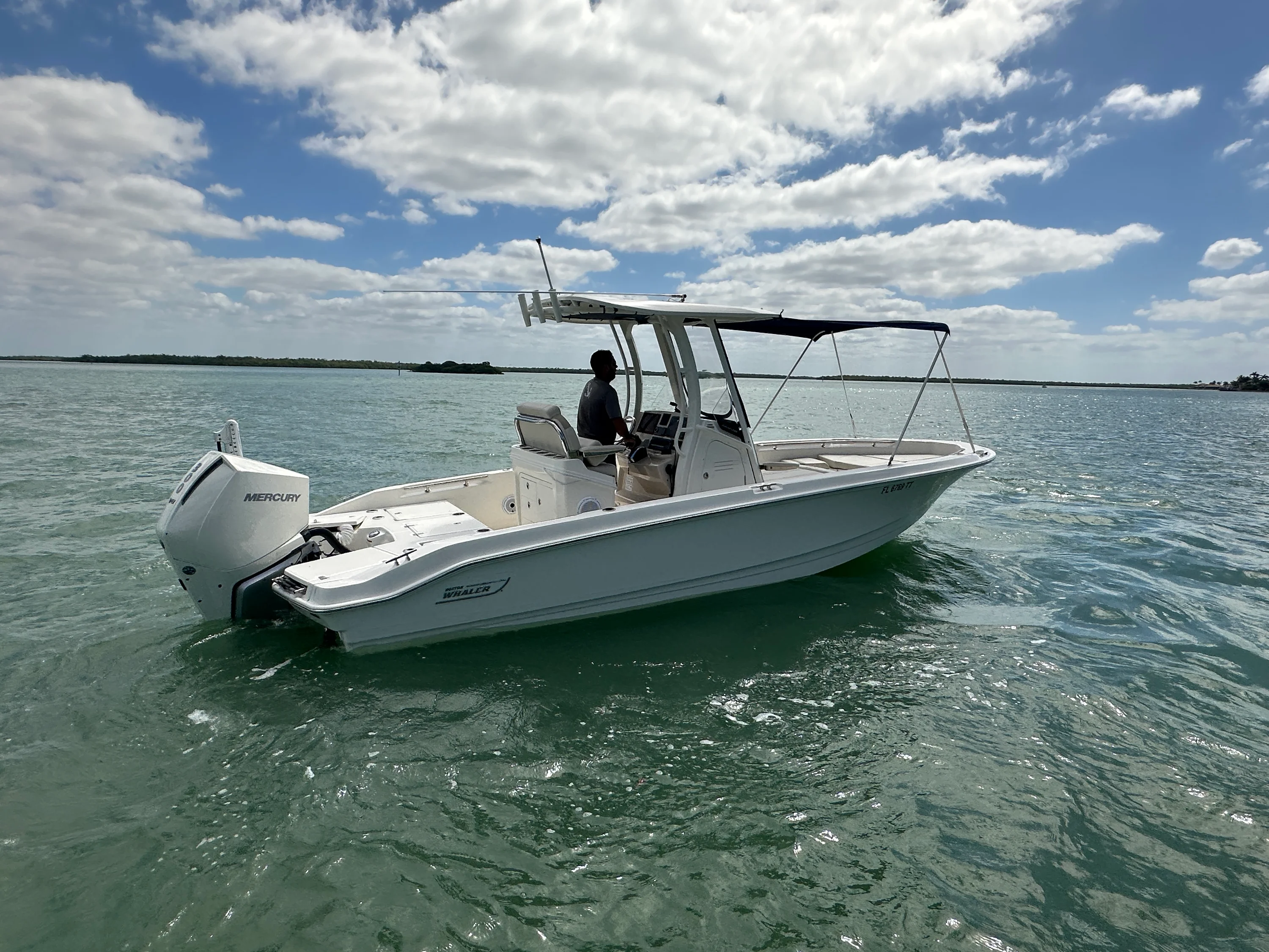 2024 Boston Whaler 250 DAUNTLESS Image Thumbnail #4