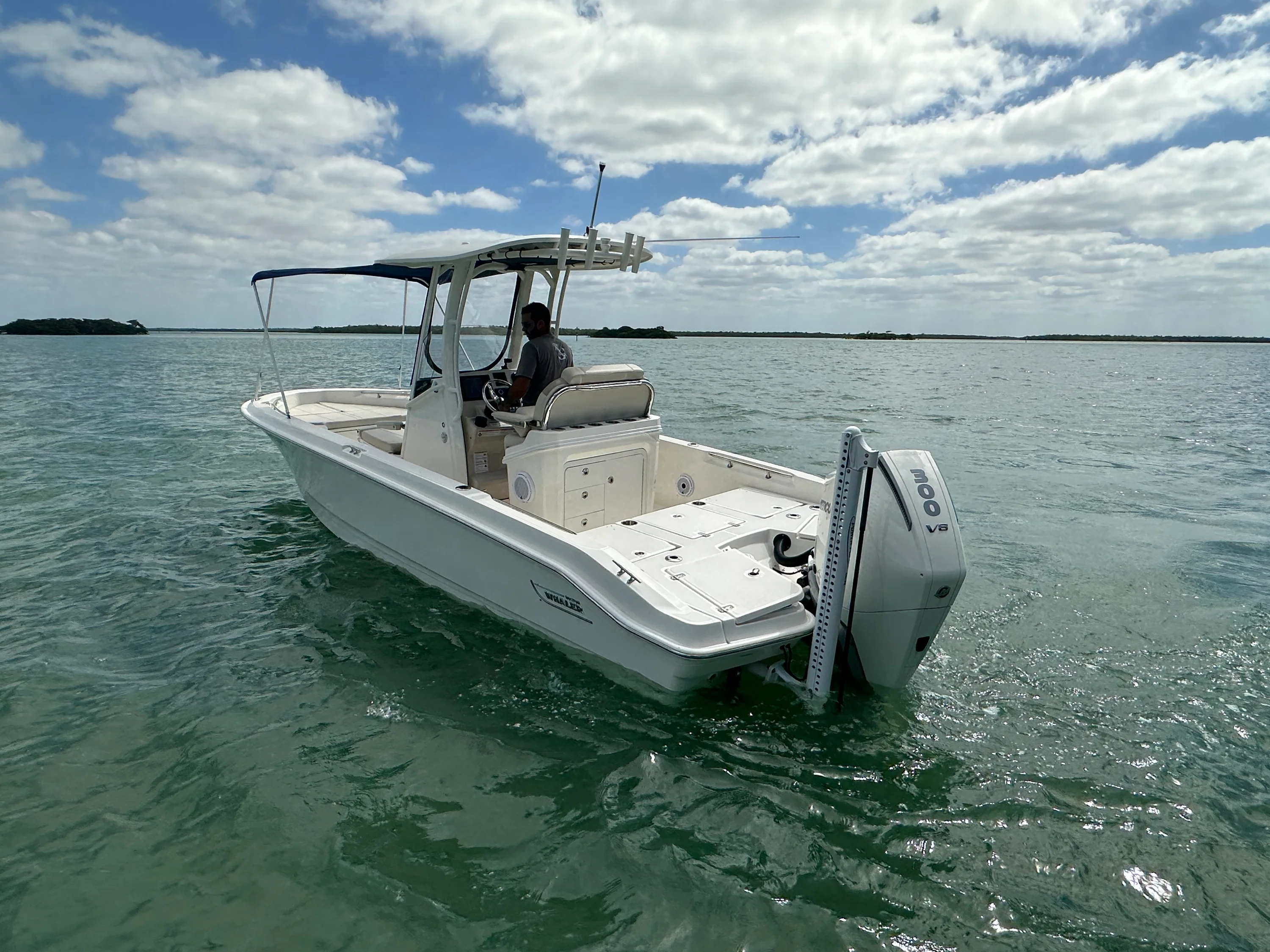 2024 Boston Whaler 250 DAUNTLESS Image Thumbnail #14