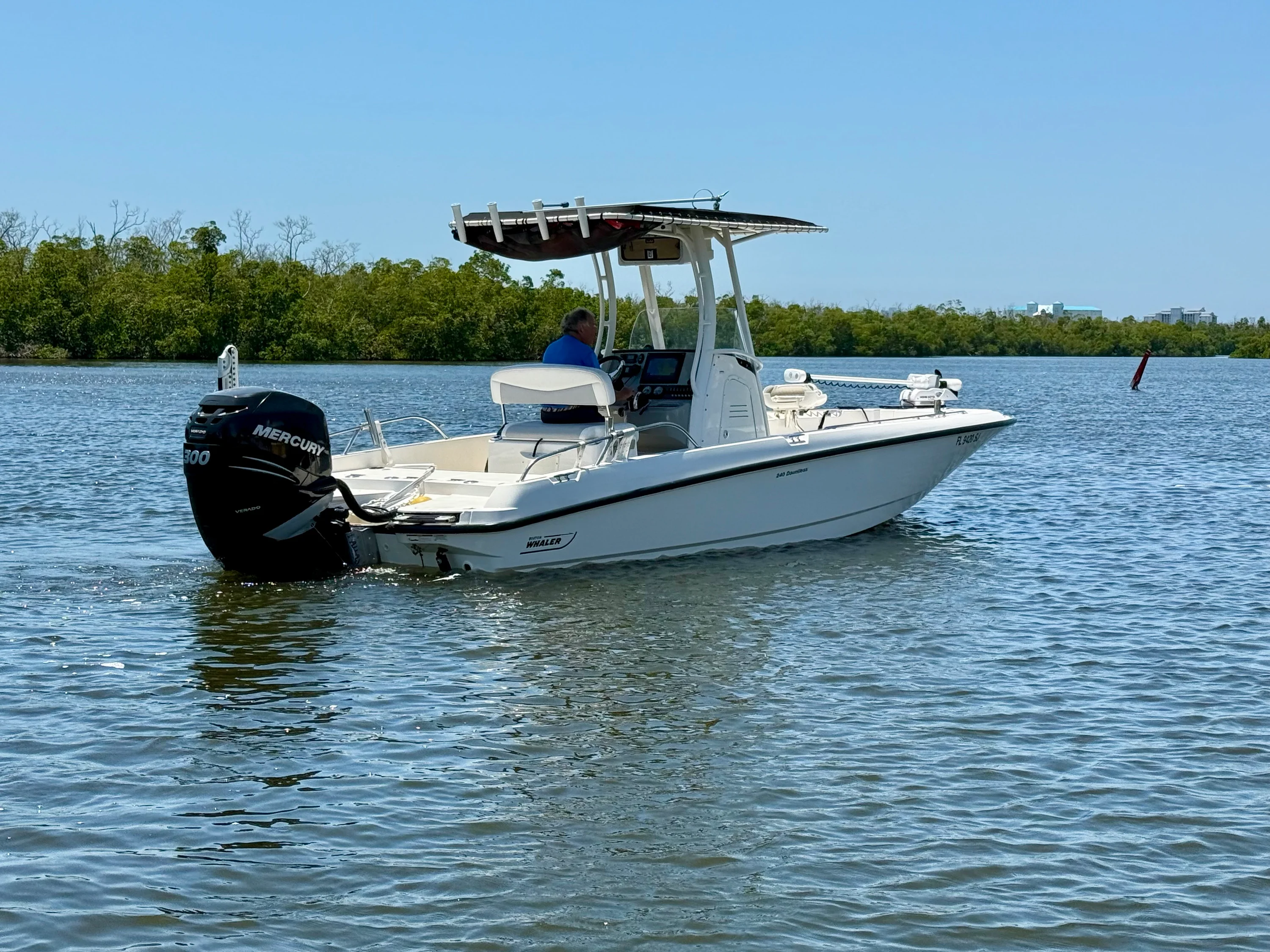 2015 Boston Whaler 240 DAUNTLESS Image Thumbnail #9