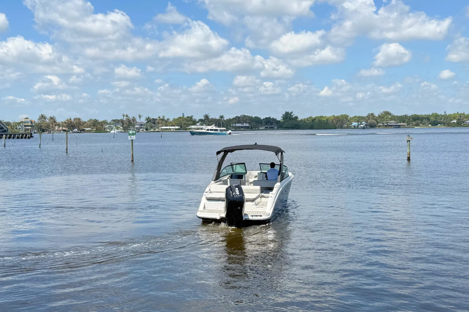 2025 Sea Ray 270 SDX OB Image Thumbnail #7