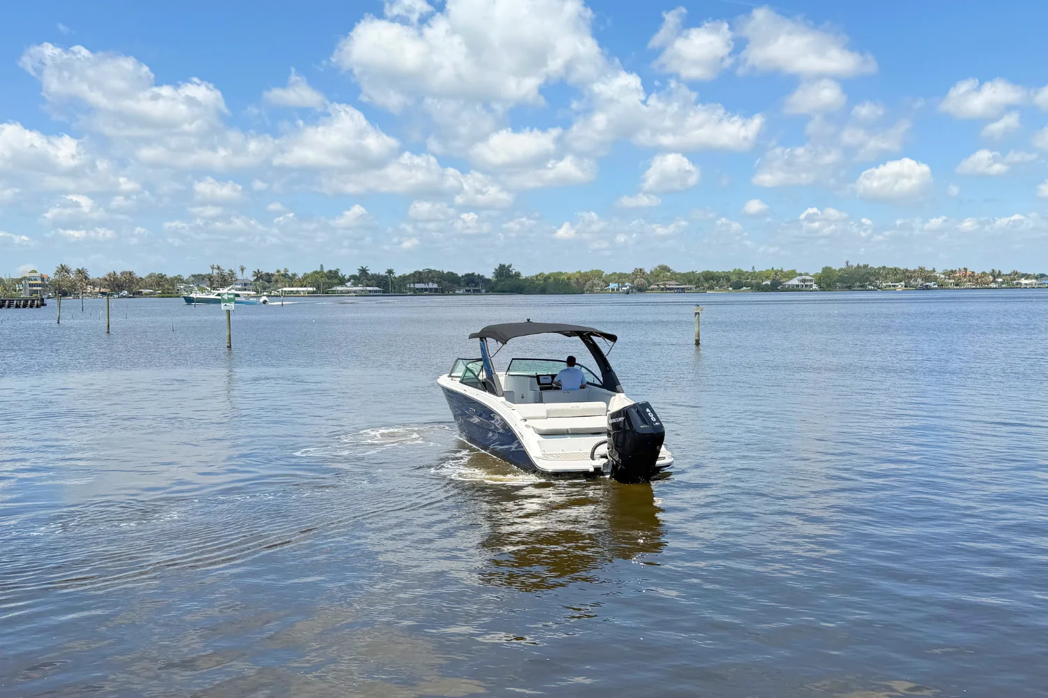 2025 Sea Ray 270 SDX OB Image Thumbnail #8