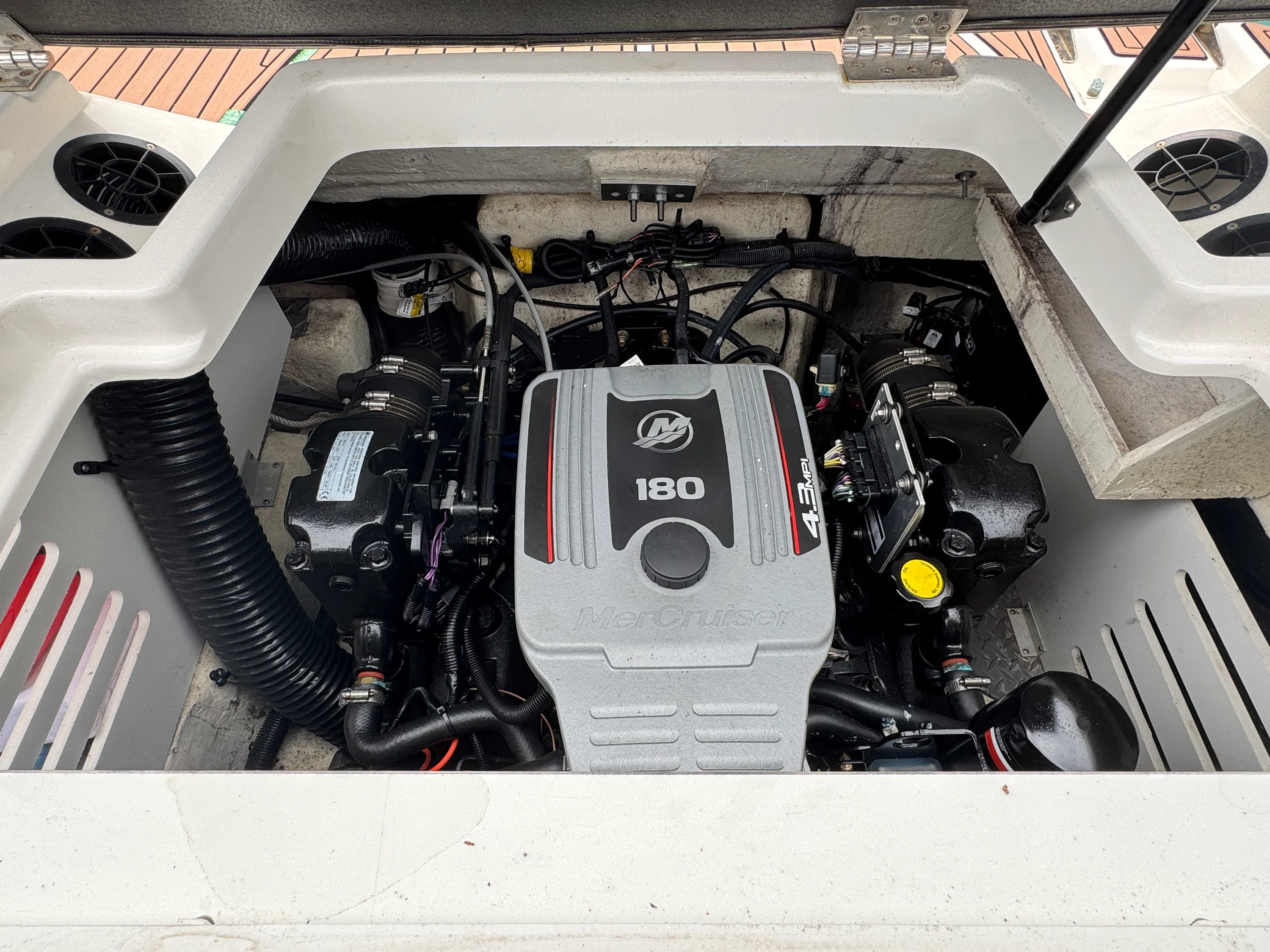 2017 Sea Ray 190 SPX Image Thumbnail #17