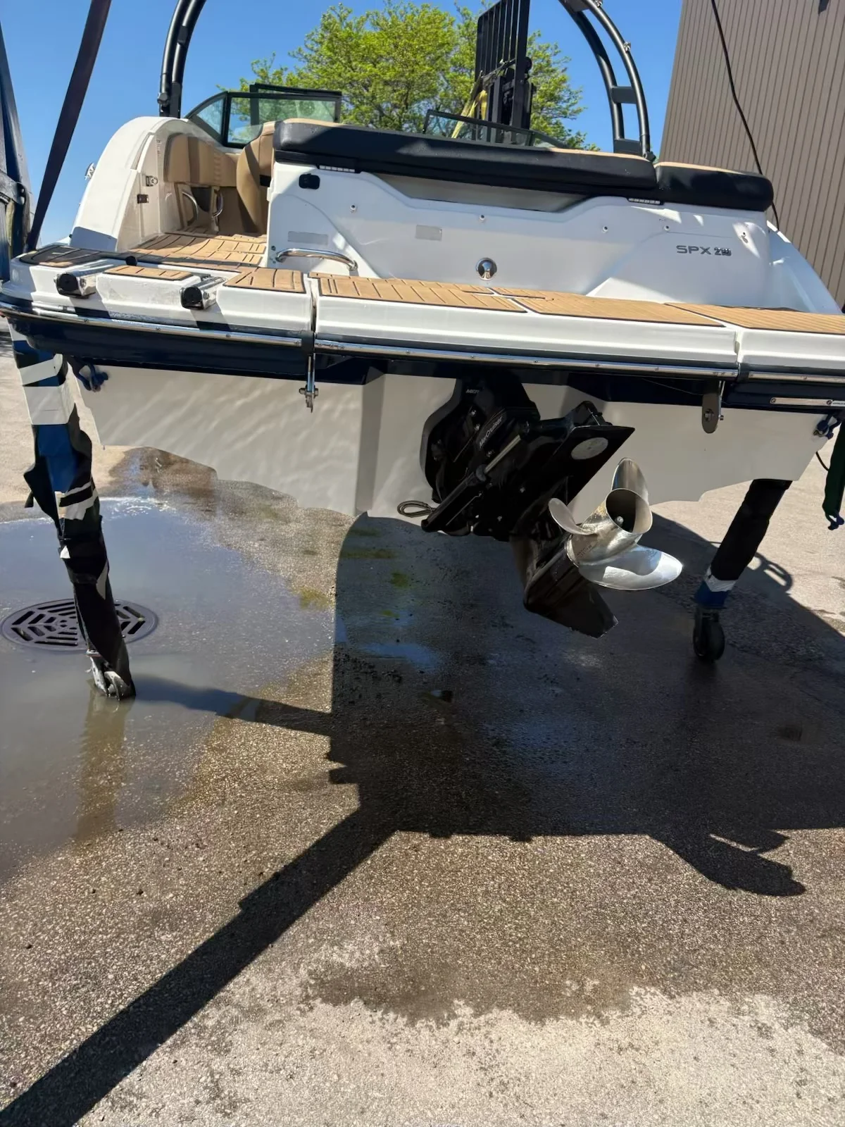 2023 Sea Ray 210 SPX Image Thumbnail #4