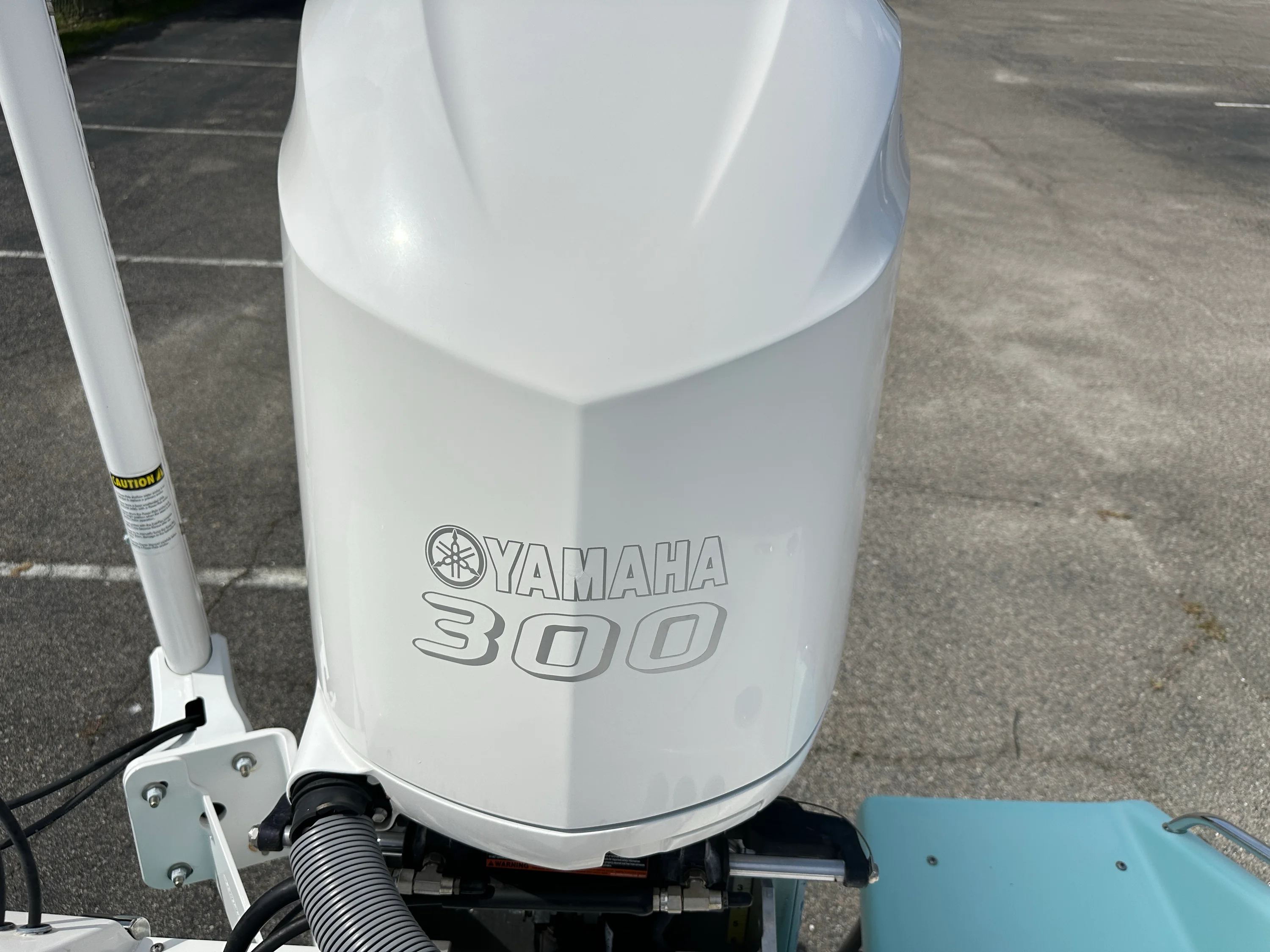 2021 Everglades 243 CC Image Thumbnail #3