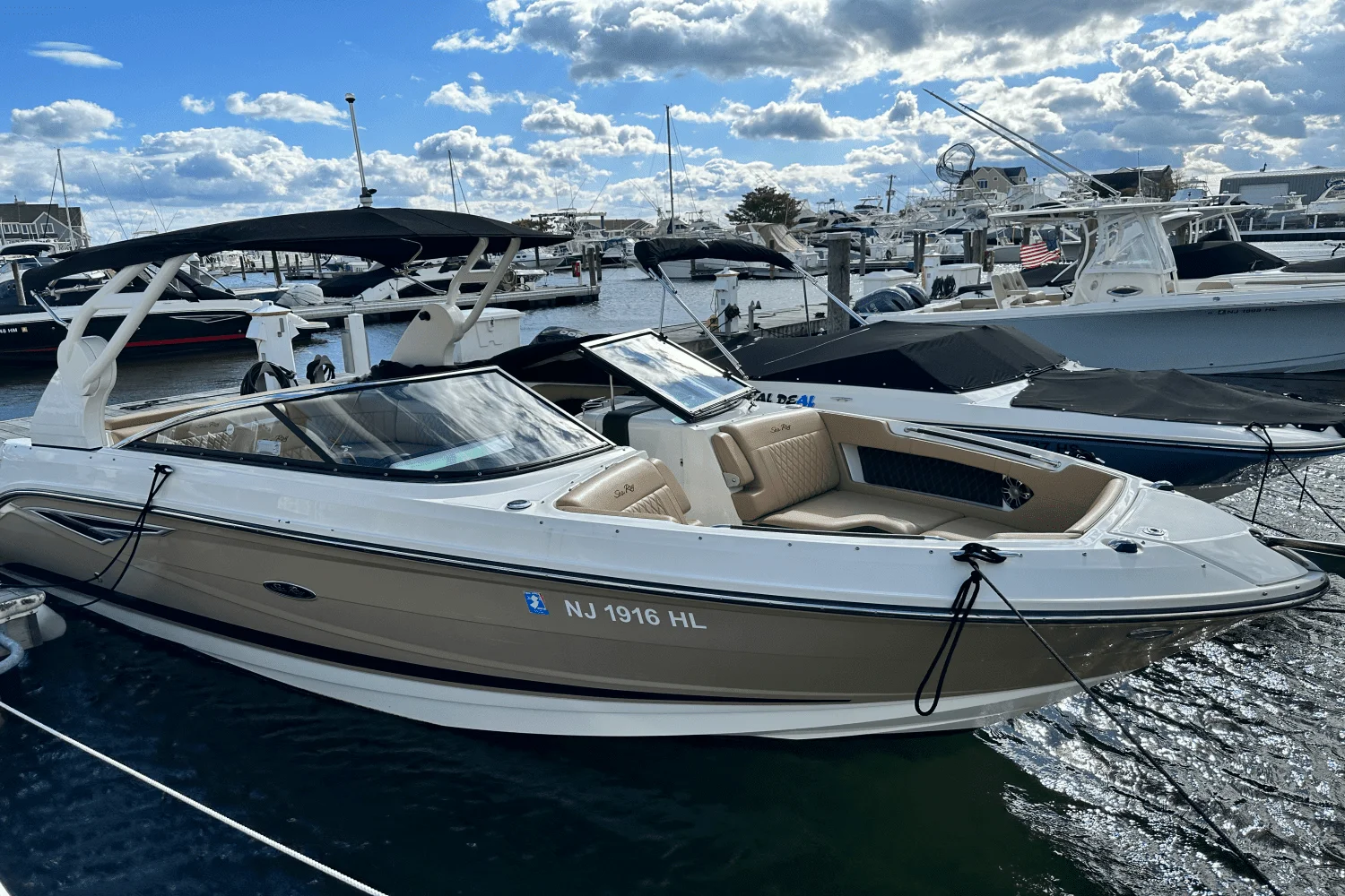 2019 Sea Ray 250 SLX Image Thumbnail #2