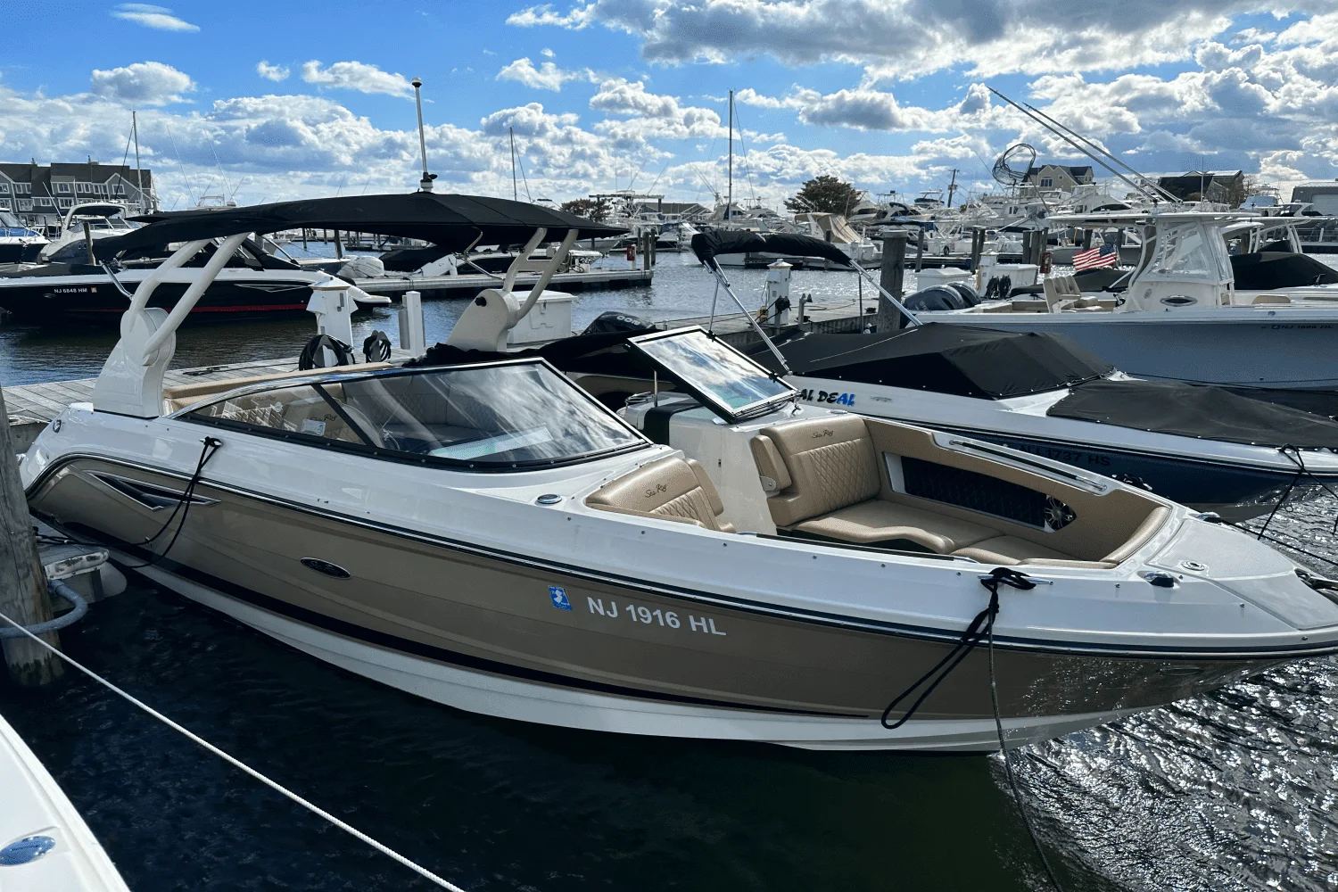 2019 Sea Ray 250 SLX Image Thumbnail #1