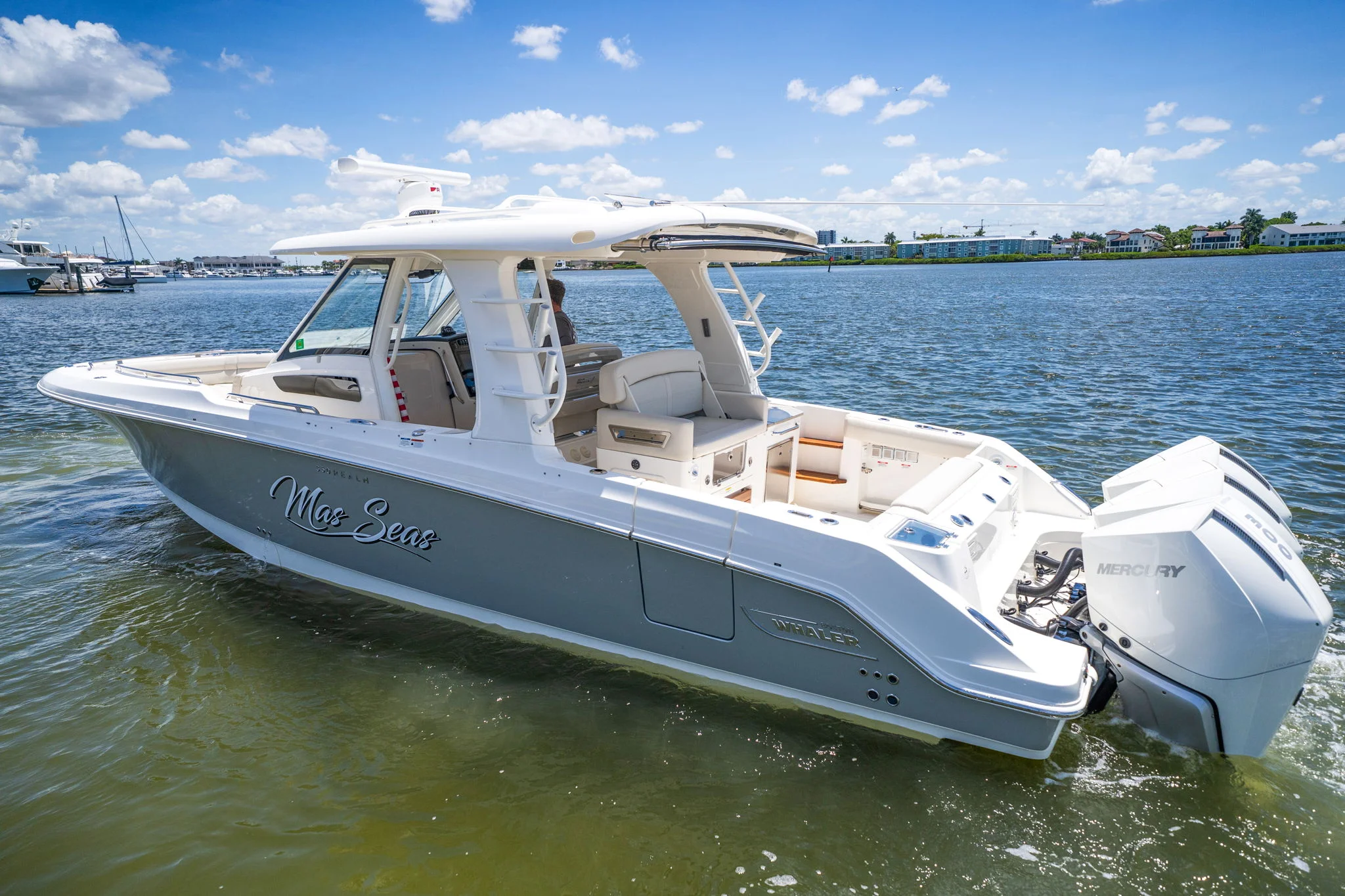 2022 Boston Whaler 350 REALM Image Thumbnail #10