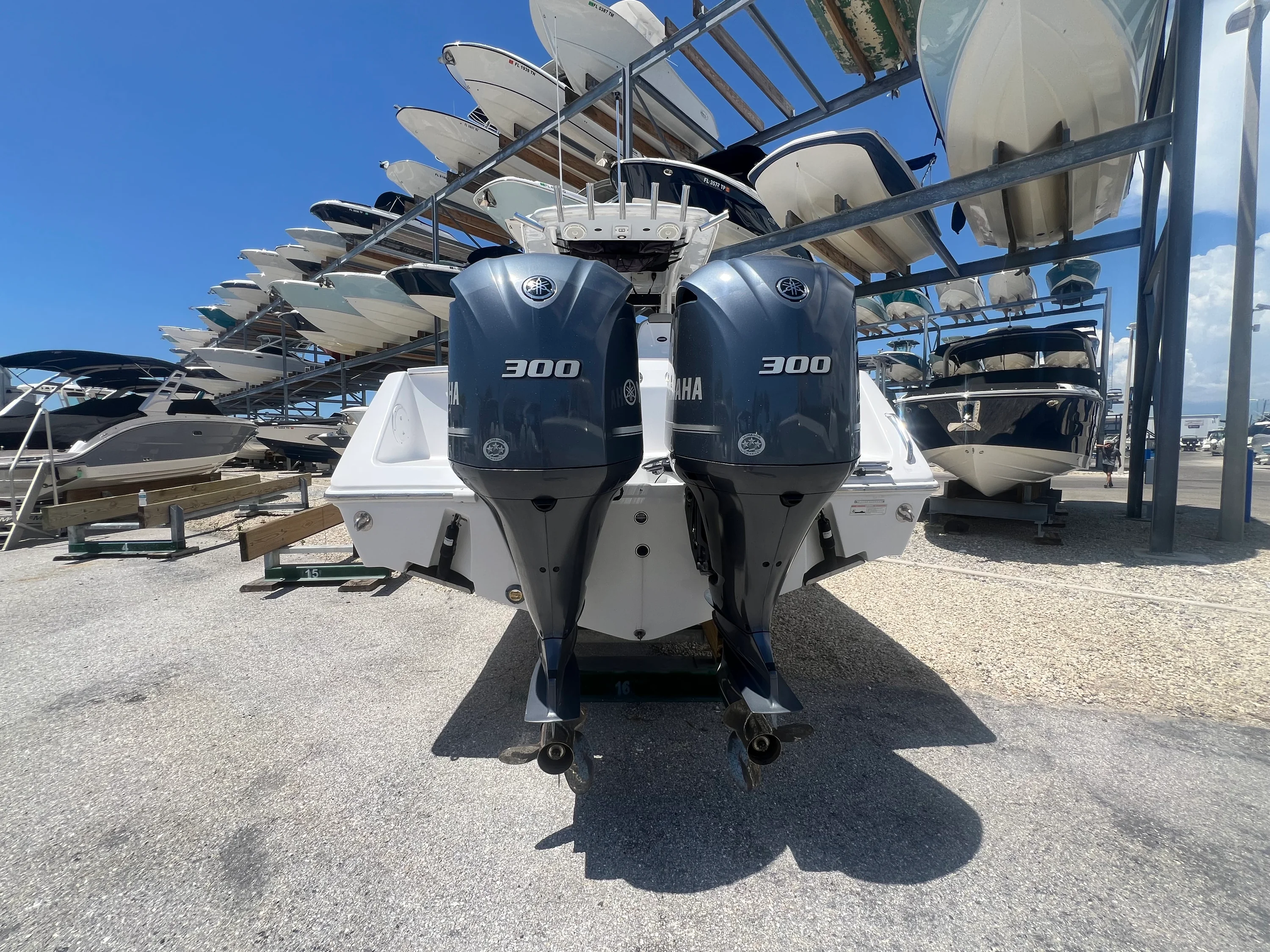 2019 Everglades 295CC Image Thumbnail #3