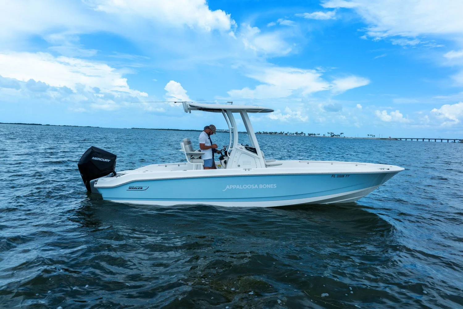 2024 Boston Whaler 250 DAUNTLESS Image Thumbnail #36