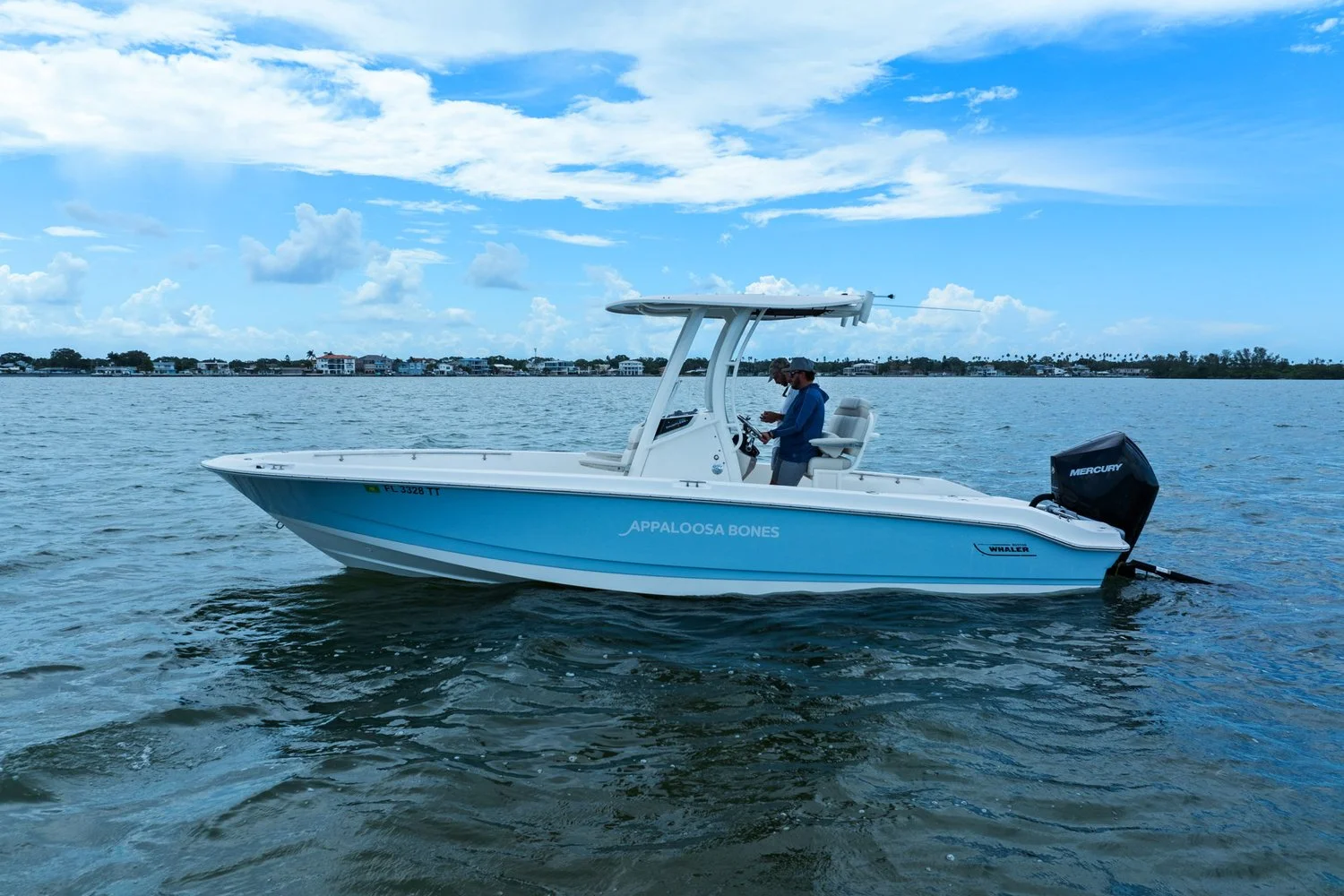 2024 Boston Whaler 250 DAUNTLESS Image Thumbnail #40